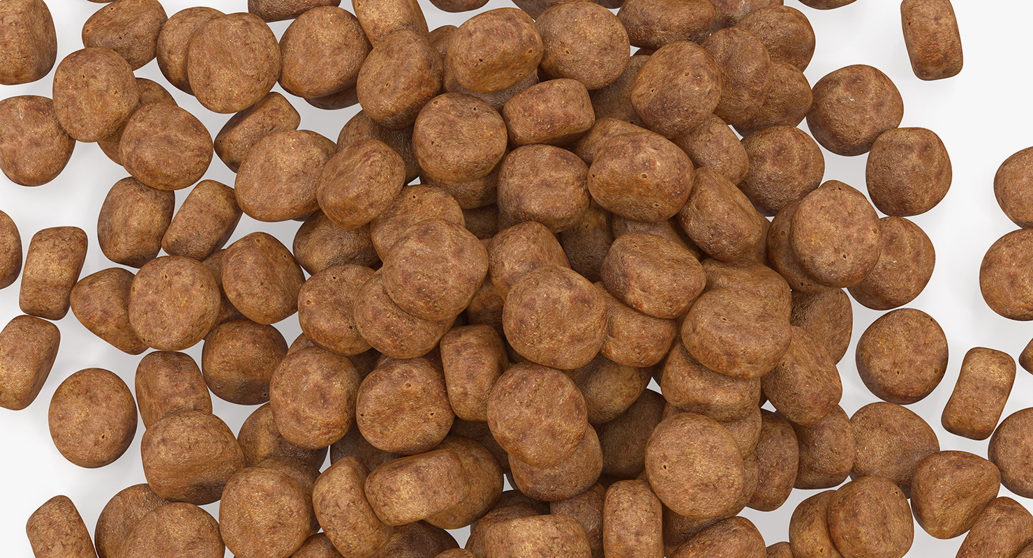 Dry Dog Food 3D