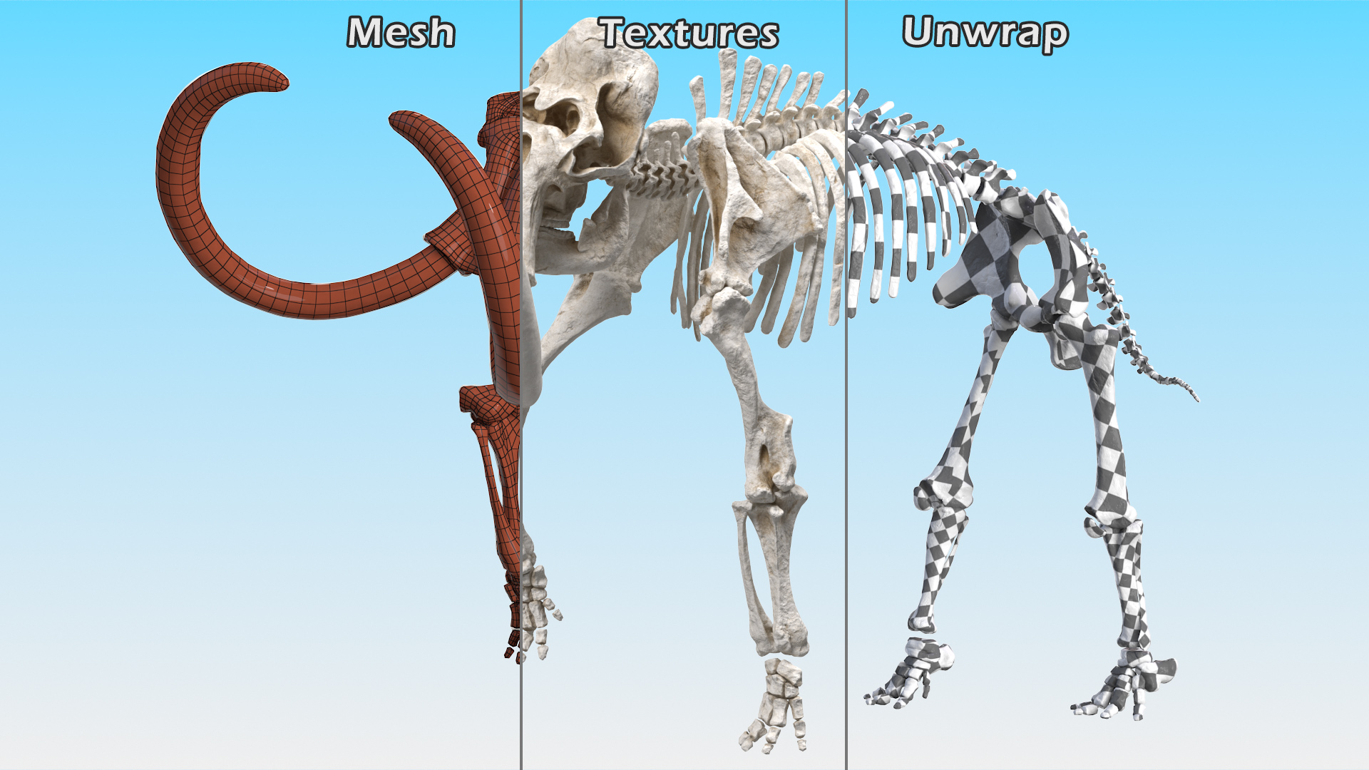 3D Mammoth Skeleton Clean Bones Walking Pose