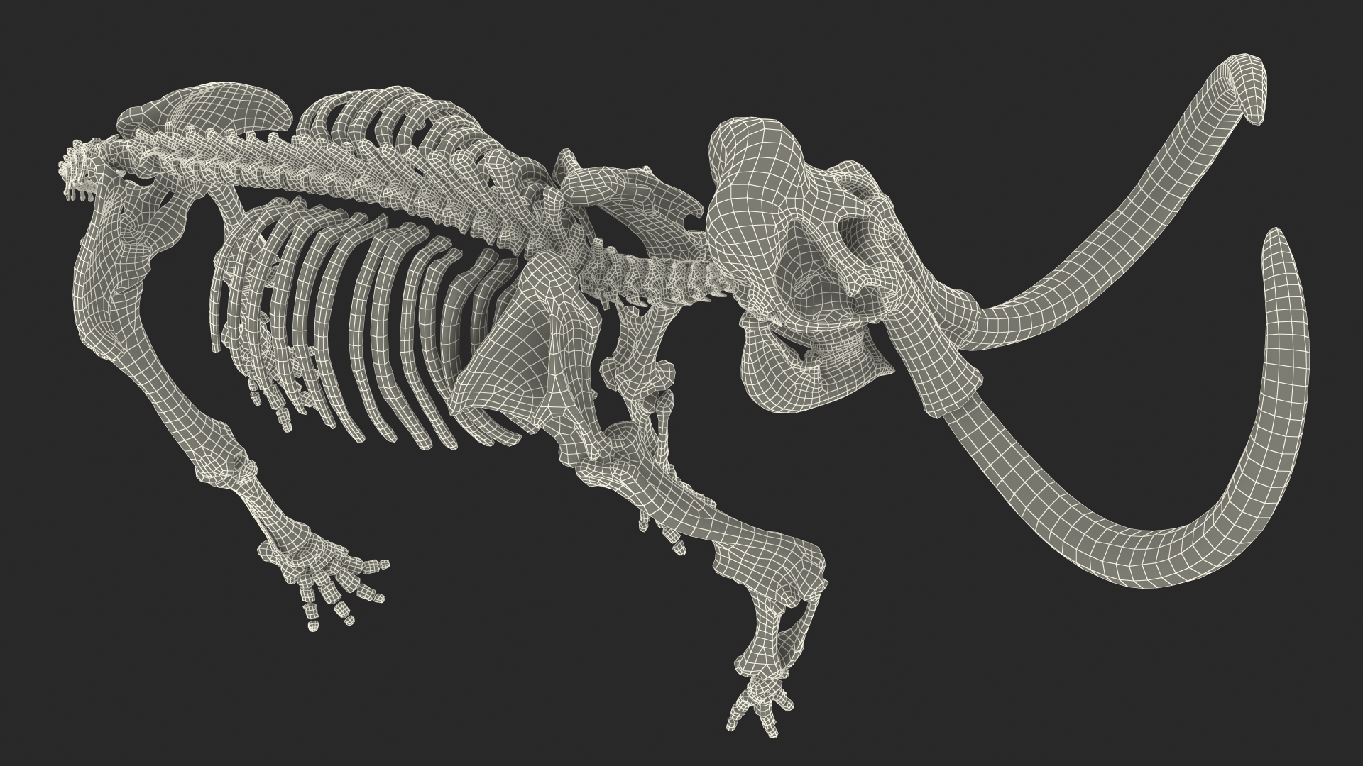 3D Mammoth Skeleton Clean Bones Walking Pose