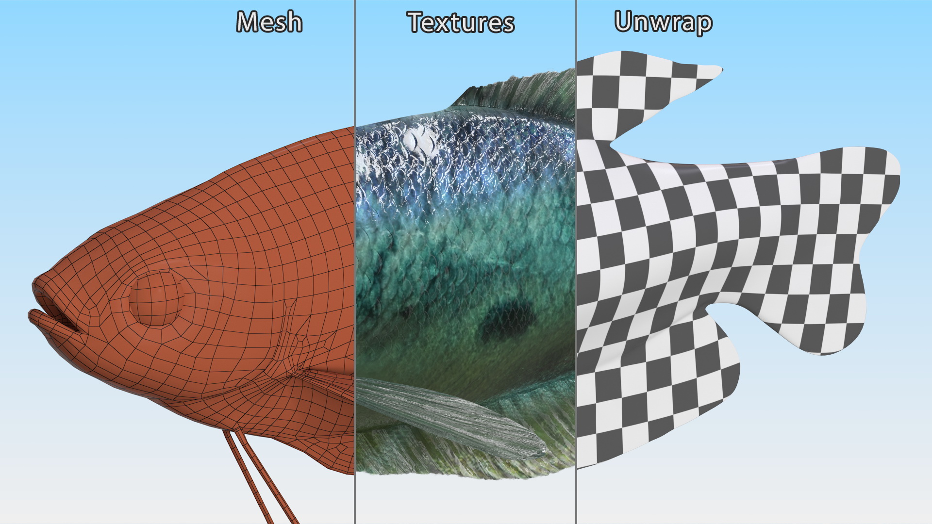 3D Tropical Gourami Fish Rigged model