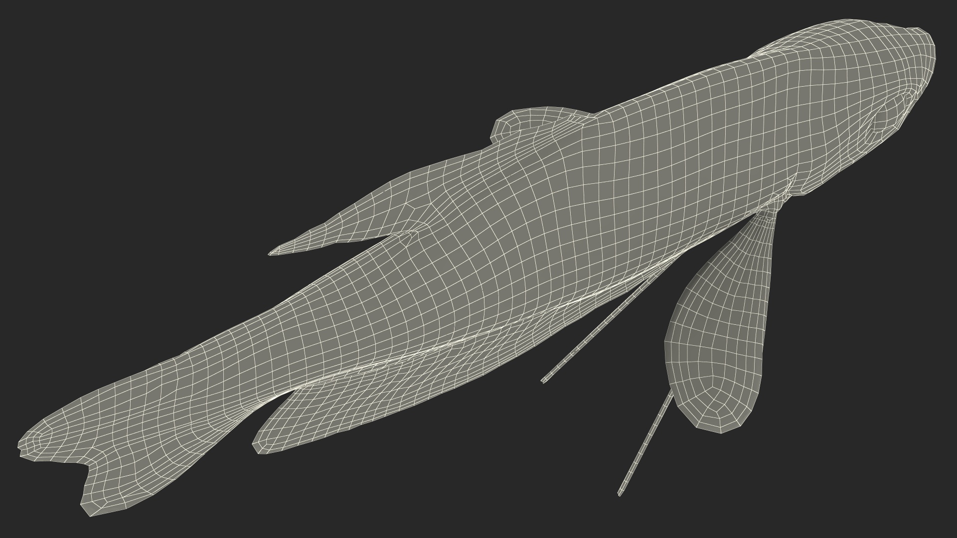 3D Tropical Gourami Fish Rigged model