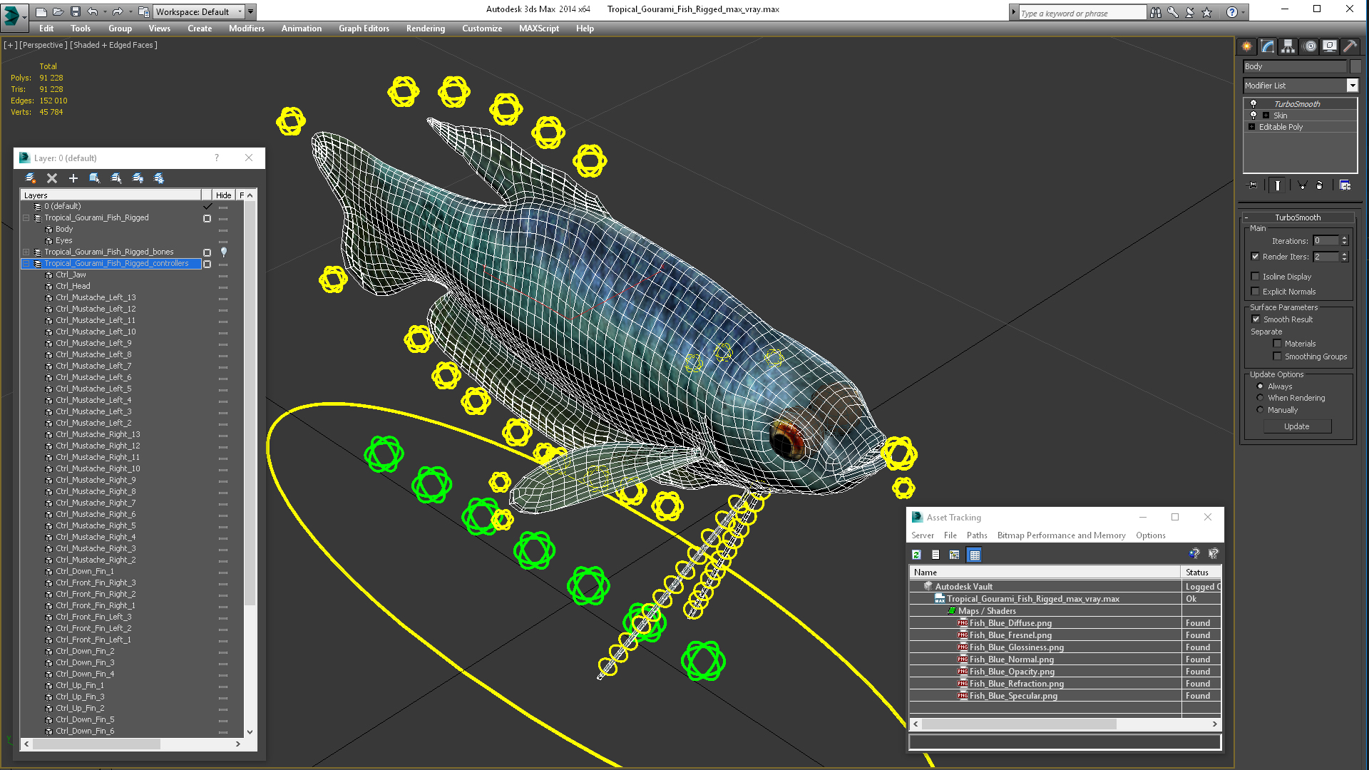 3D Tropical Gourami Fish Rigged model