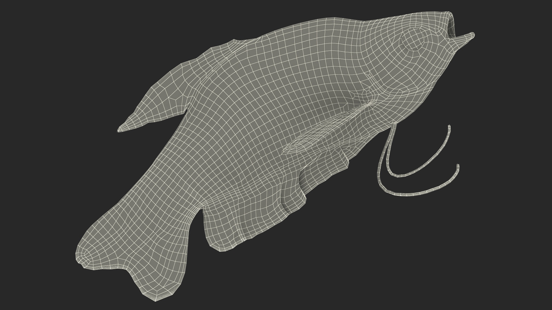 3D Tropical Gourami Fish Rigged model