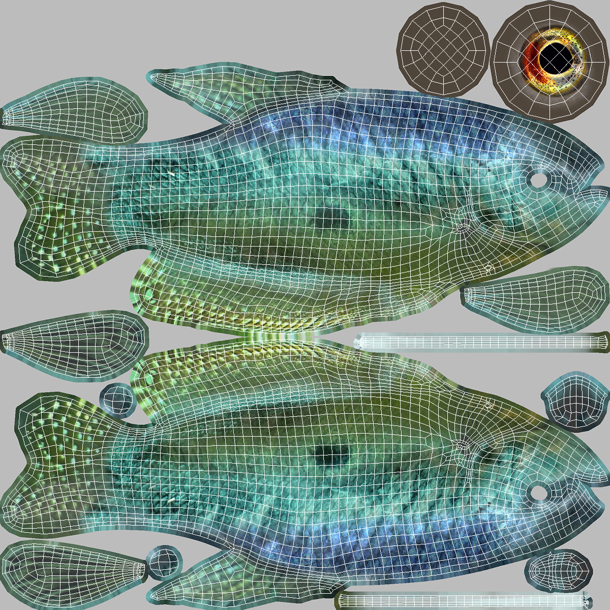 3D Tropical Gourami Fish Rigged model