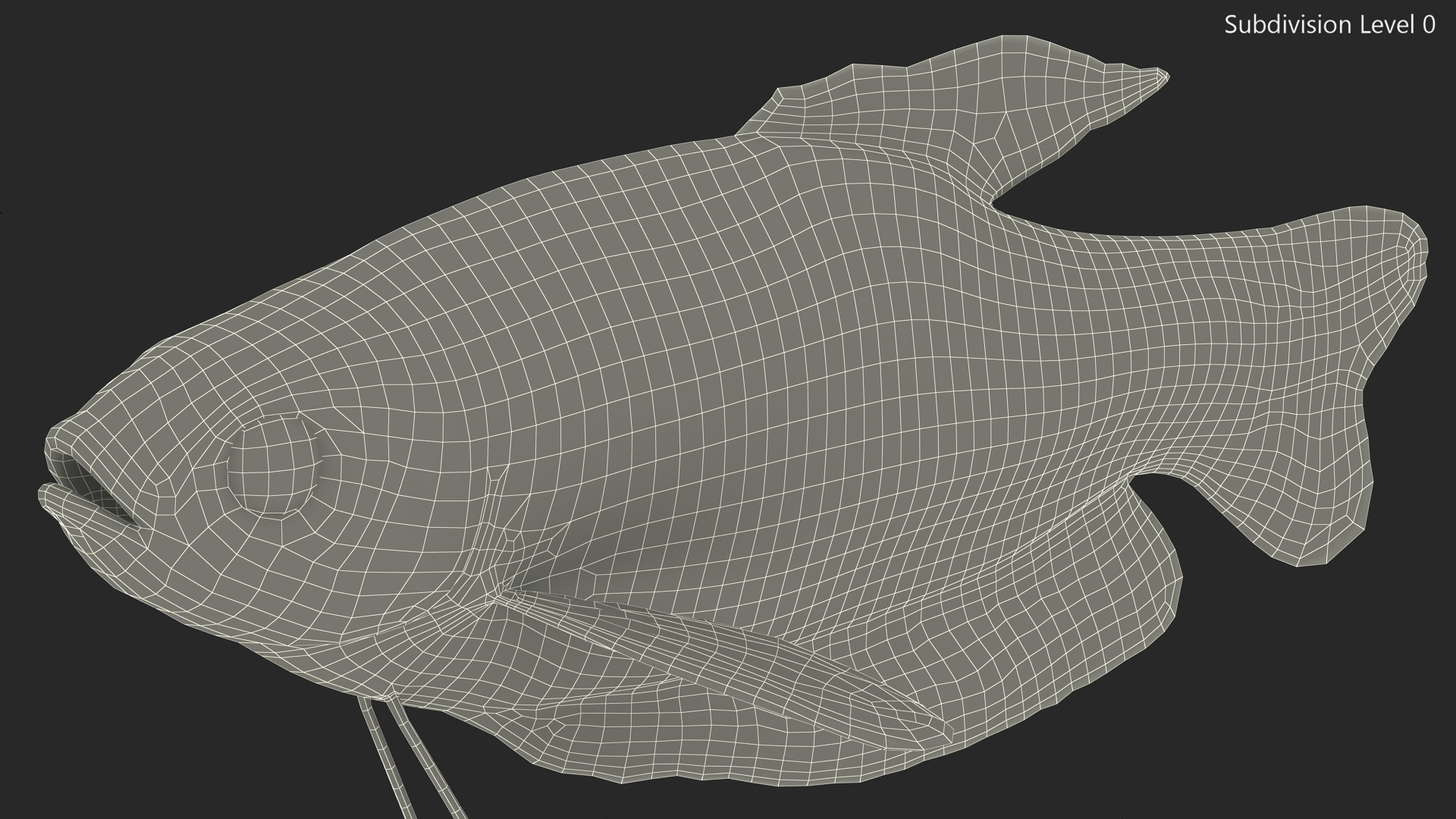3D Tropical Gourami Fish Rigged model