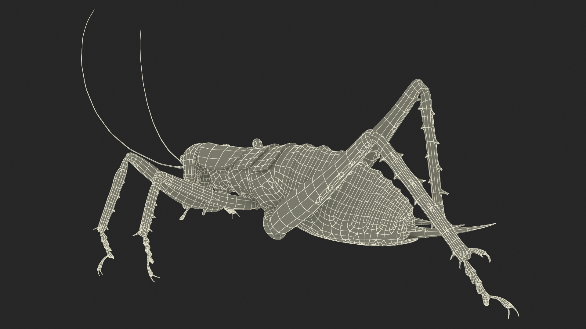 3D Giant Weta Rigged for Cinema 4D