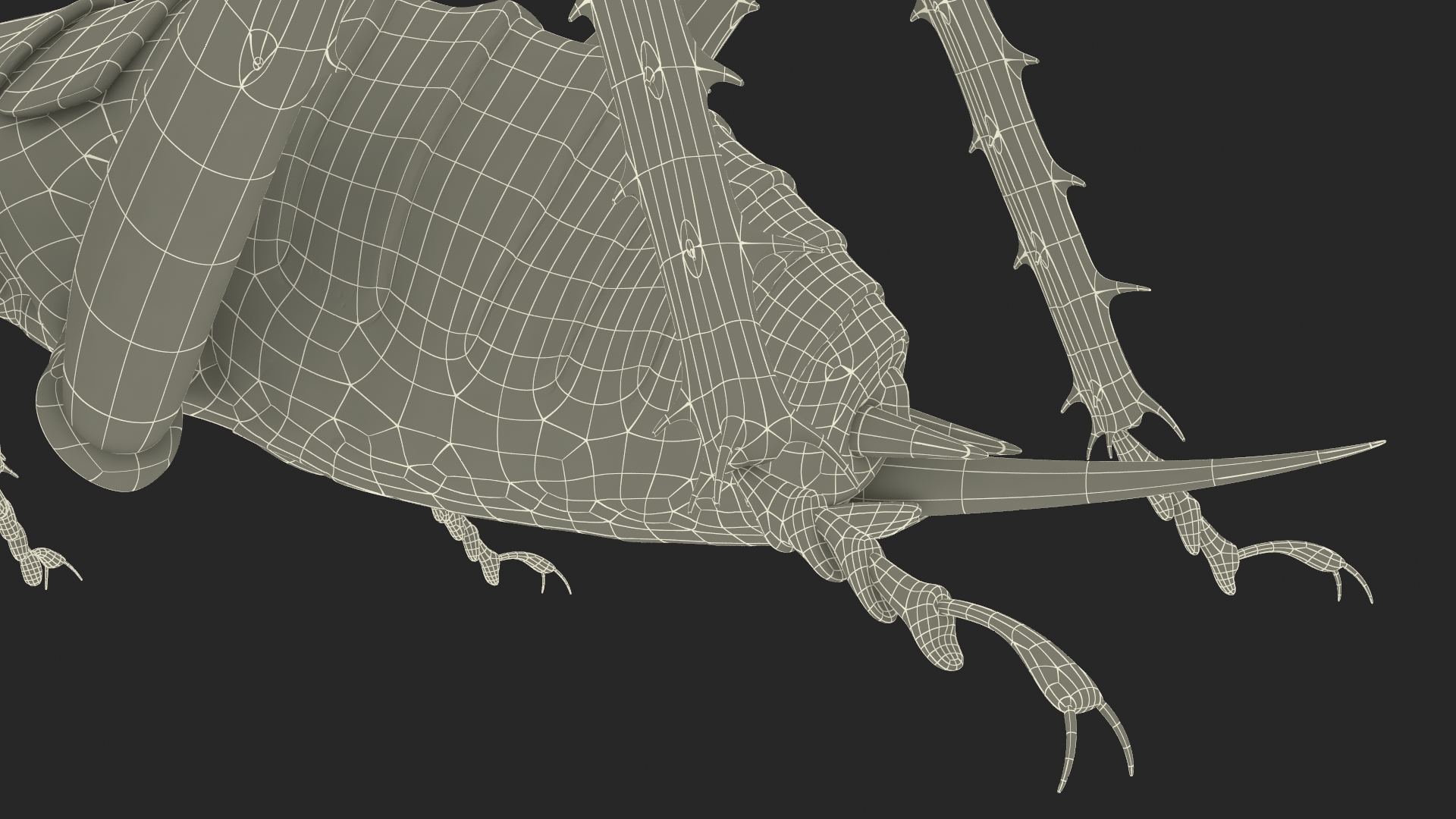 3D Giant Weta Rigged for Cinema 4D