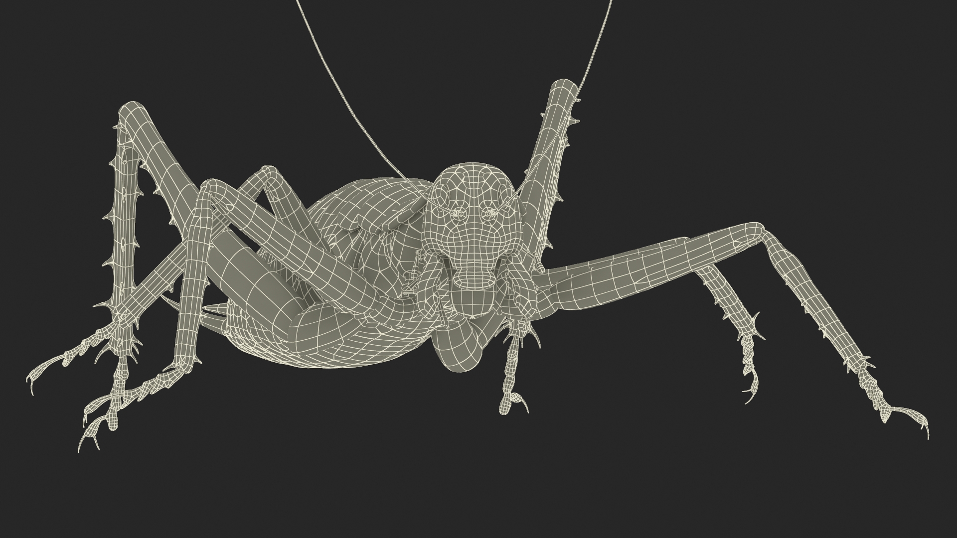 3D Giant Weta Rigged for Cinema 4D