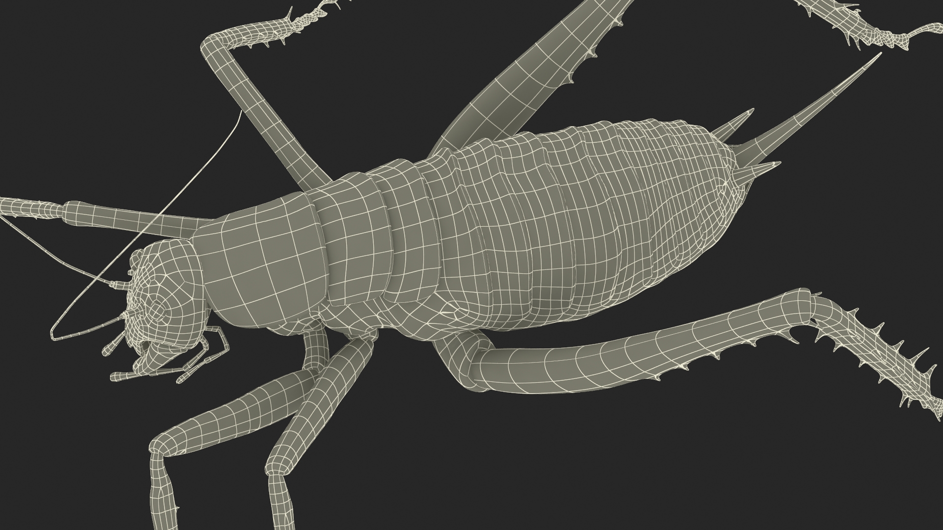 3D Giant Weta Rigged for Cinema 4D