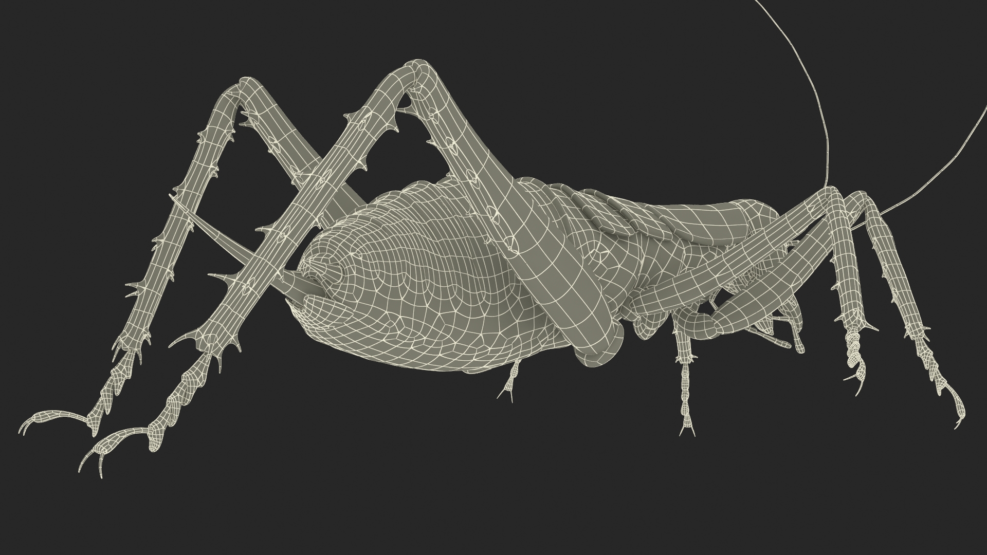3D Giant Weta Rigged for Cinema 4D
