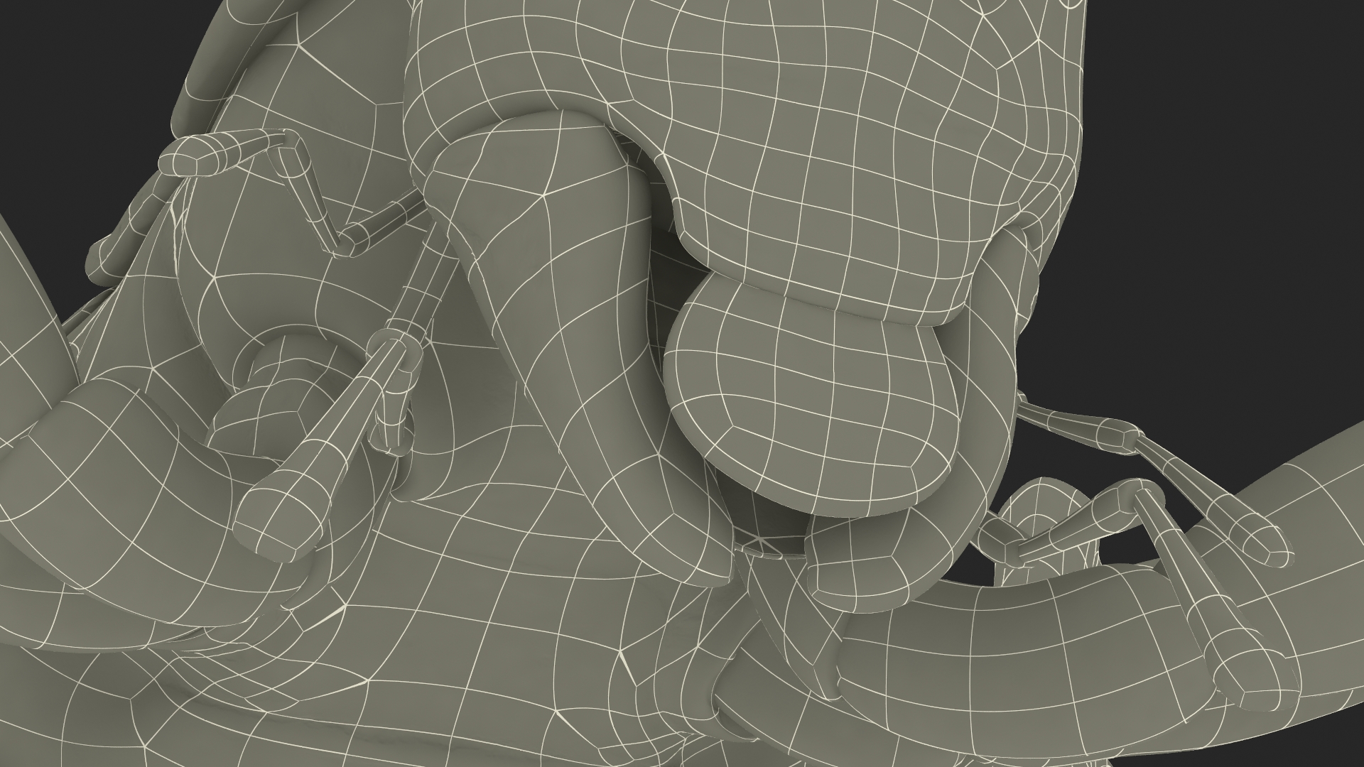 3D Giant Weta Rigged for Cinema 4D
