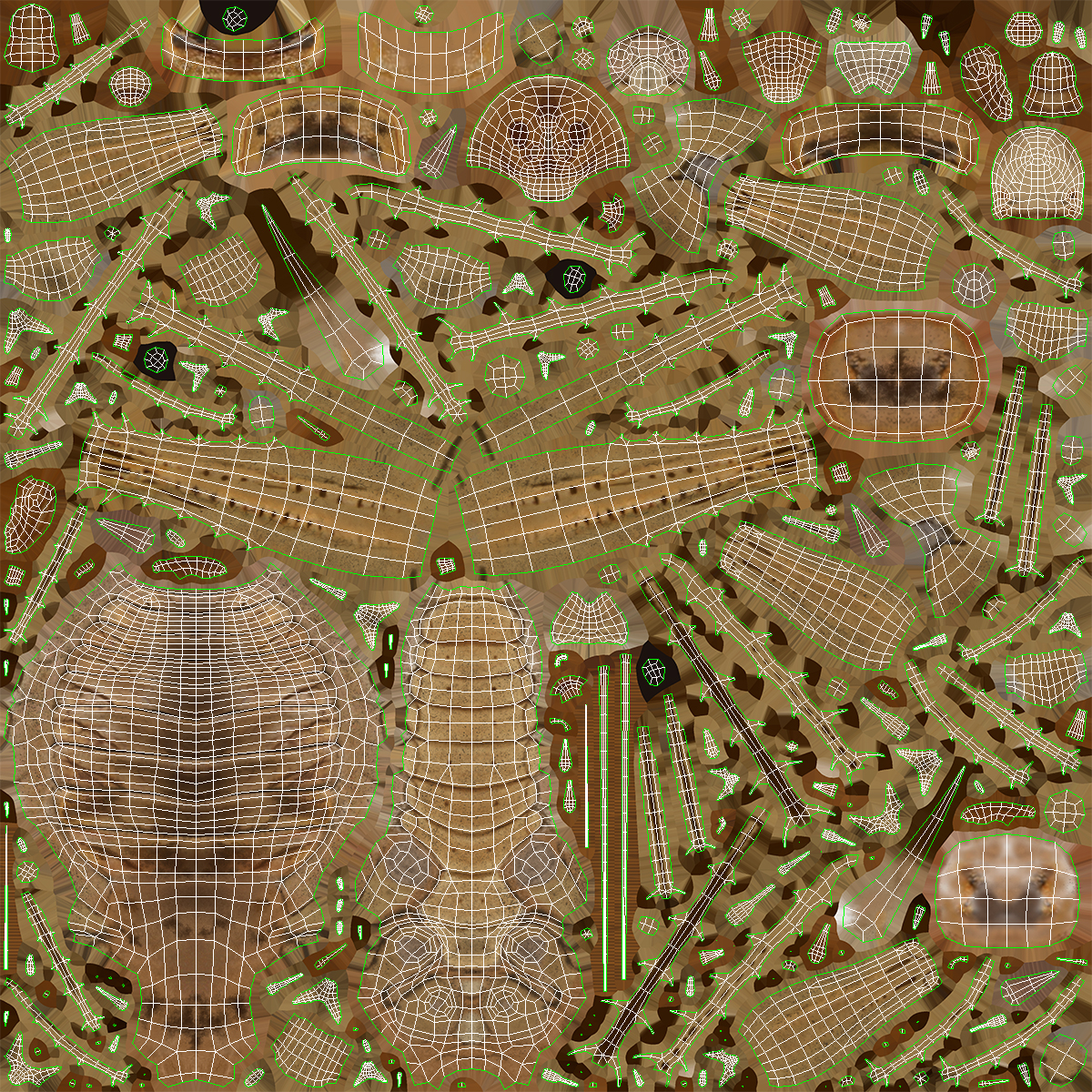 3D Giant Weta Rigged for Cinema 4D