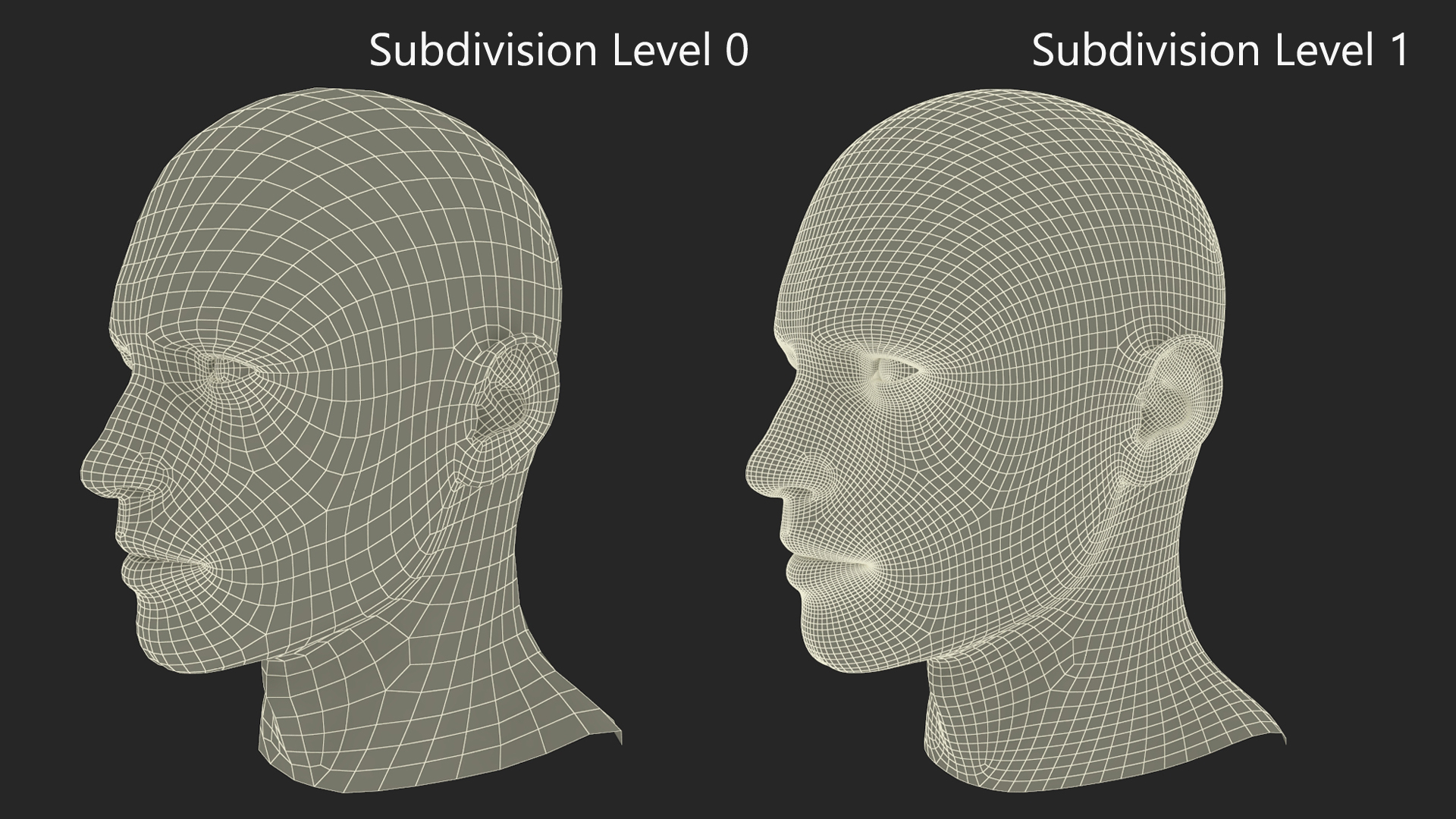 3D Man Character Head model