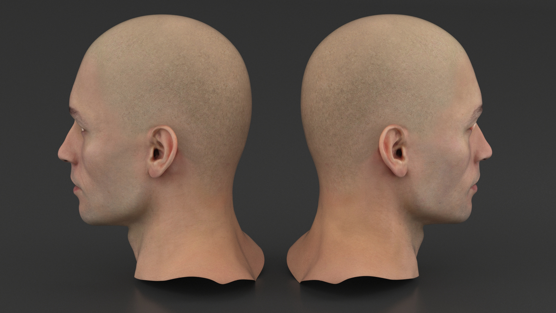 3D Man Character Head model