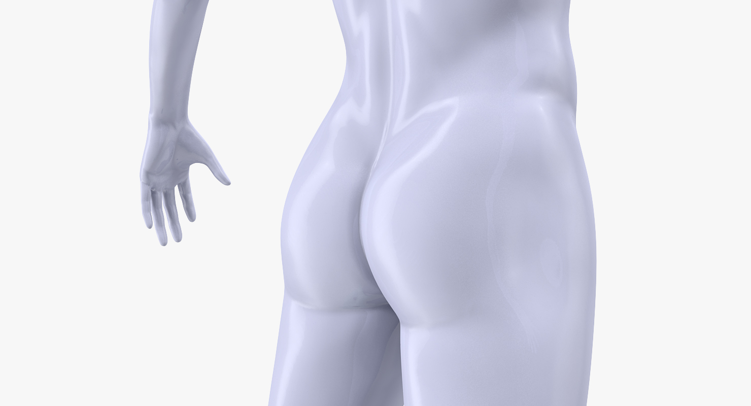 Male Mannequin 3D model