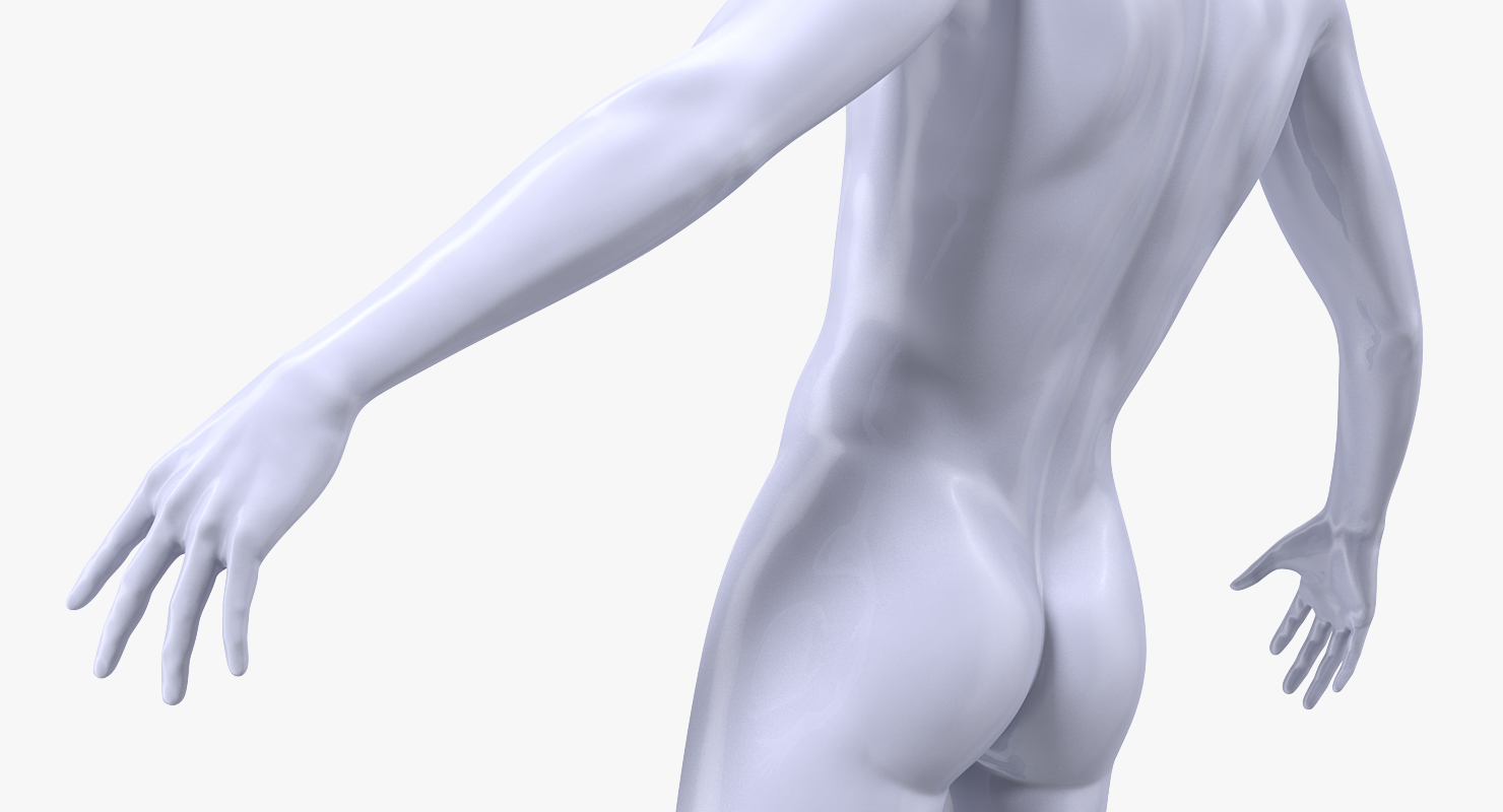 Male Mannequin 3D model