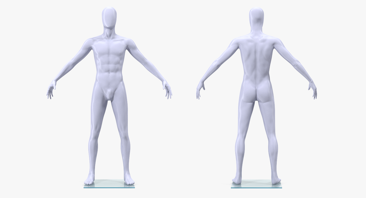 Male Mannequin 3D model