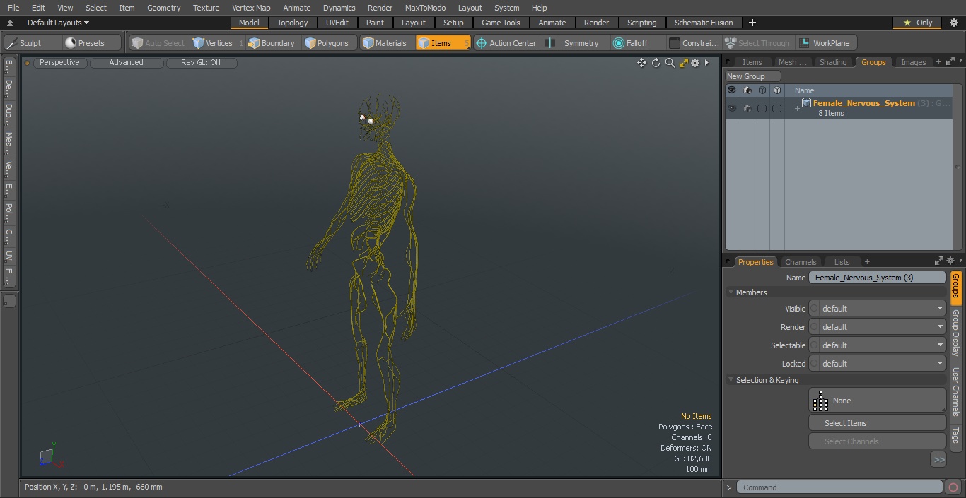 3D Female Nervous System