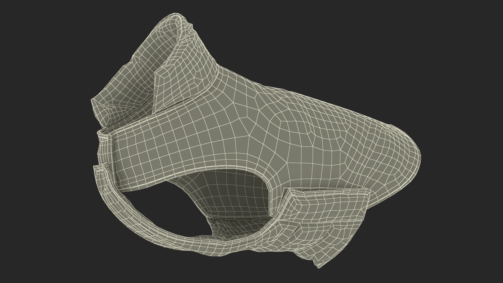 Dog Coat Zebra 3D model