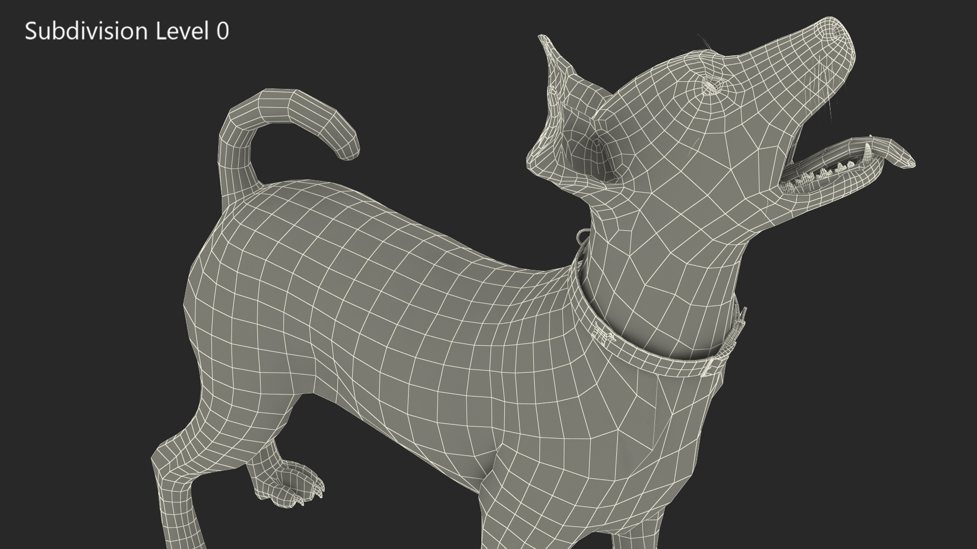Jack Russell Terrier White Waiting Pose 3D model