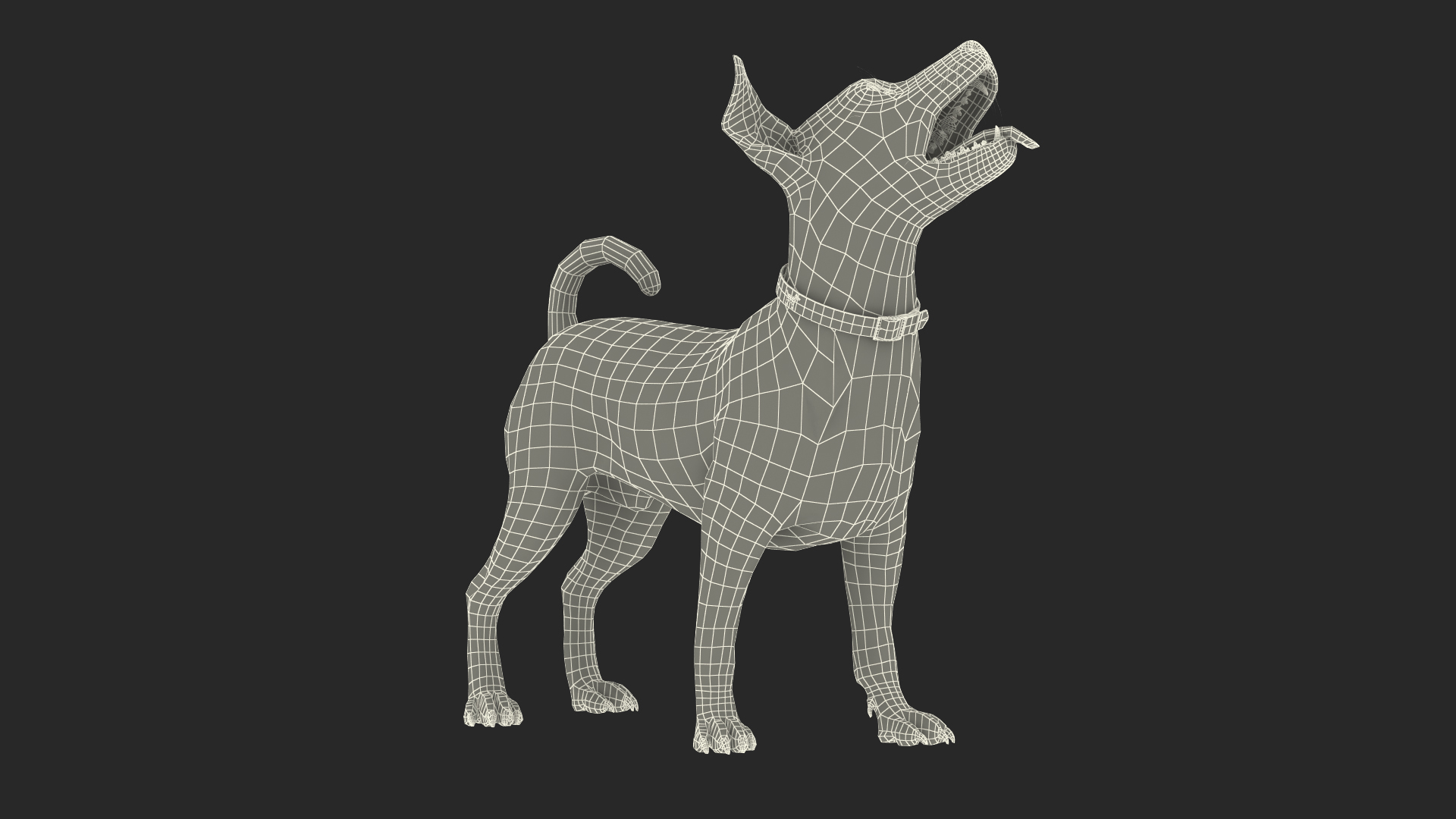 Jack Russell Terrier White Waiting Pose 3D model