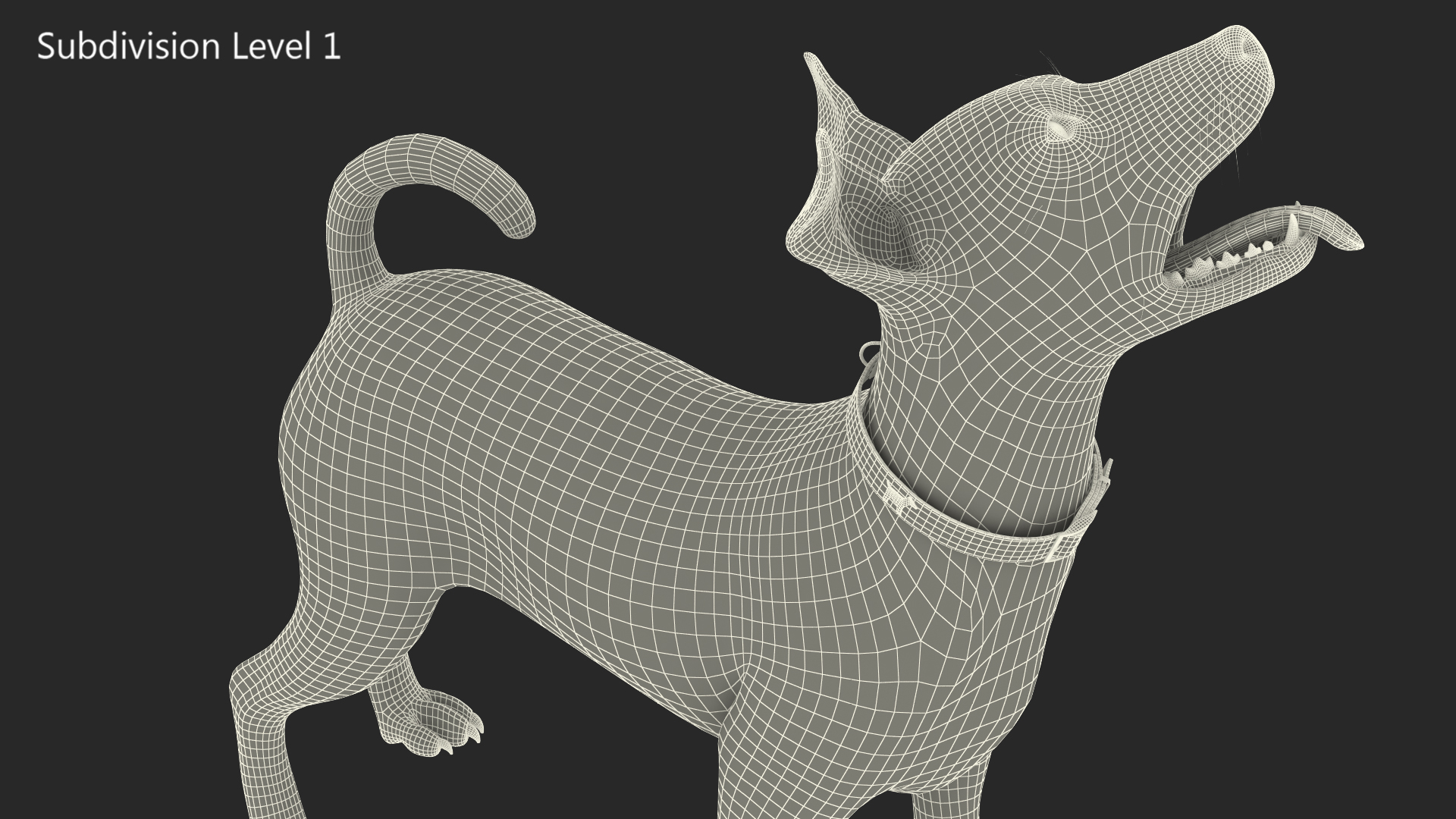 Jack Russell Terrier White Waiting Pose 3D model