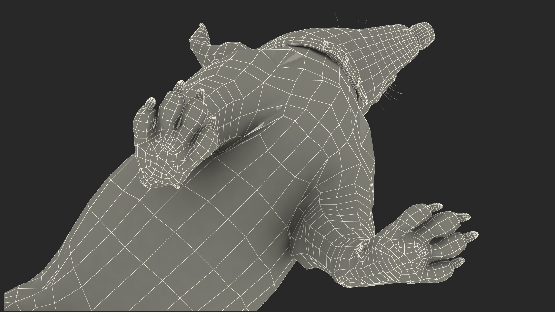 Jack Russell Terrier White Waiting Pose 3D model