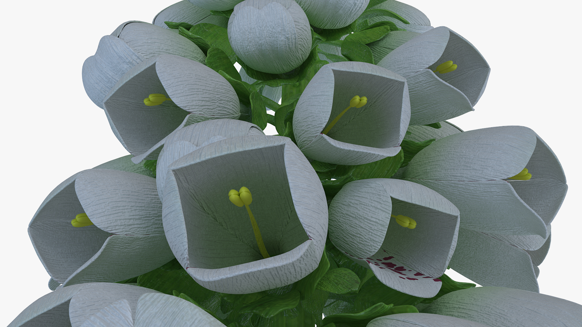 3D model White Foxglove Plants Set