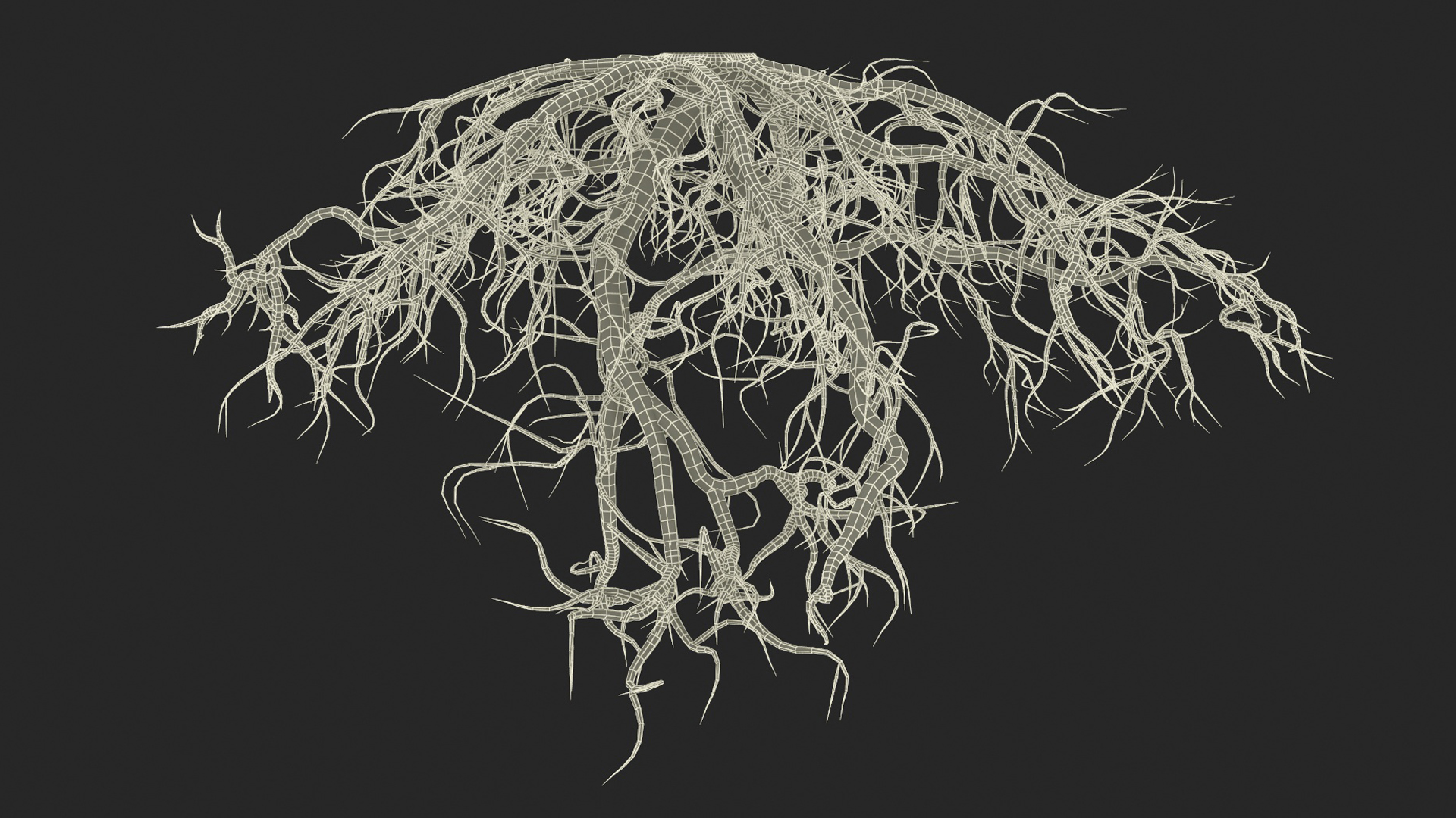 Roots of Oak 3D