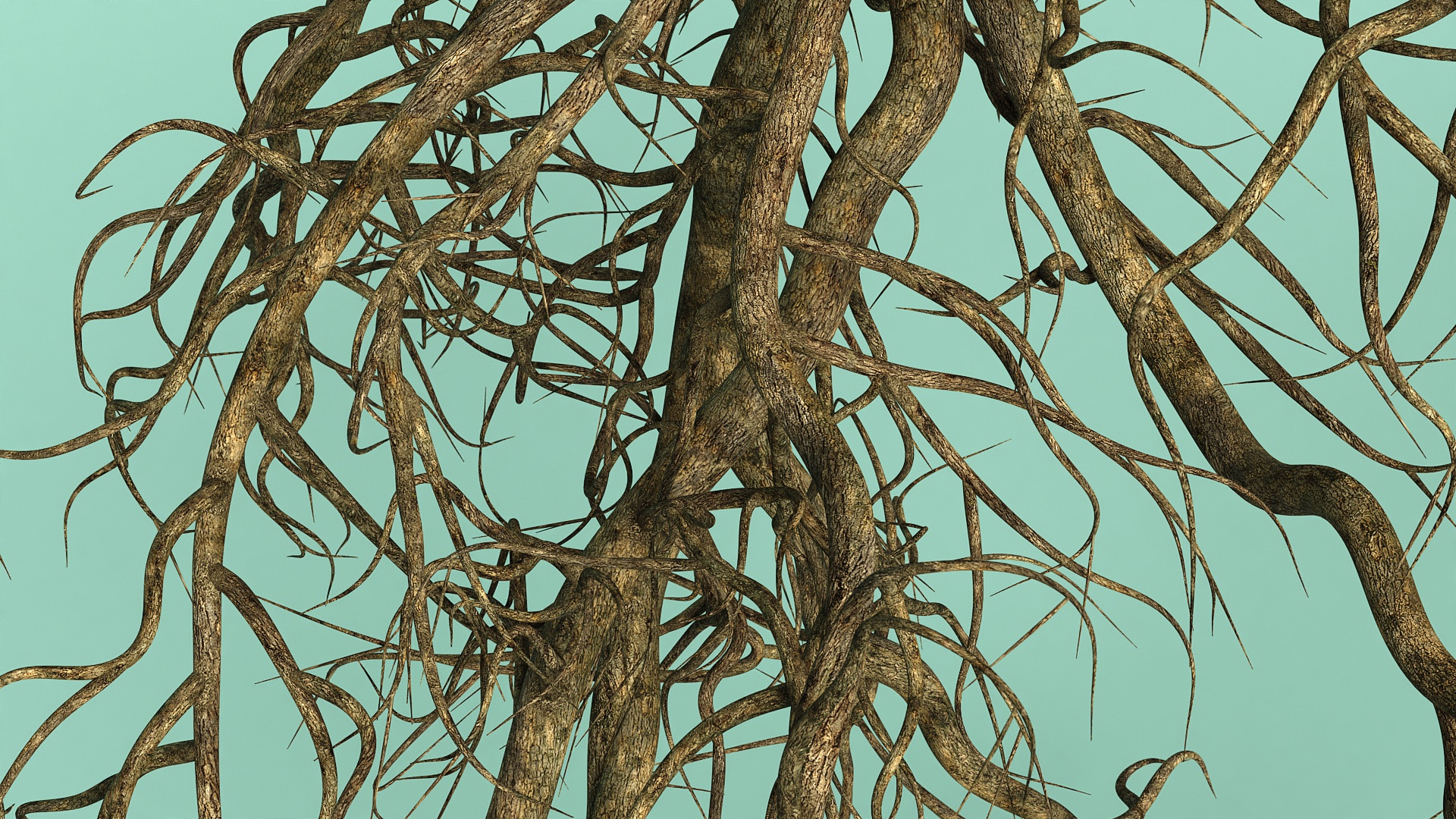 Roots of Oak 3D
