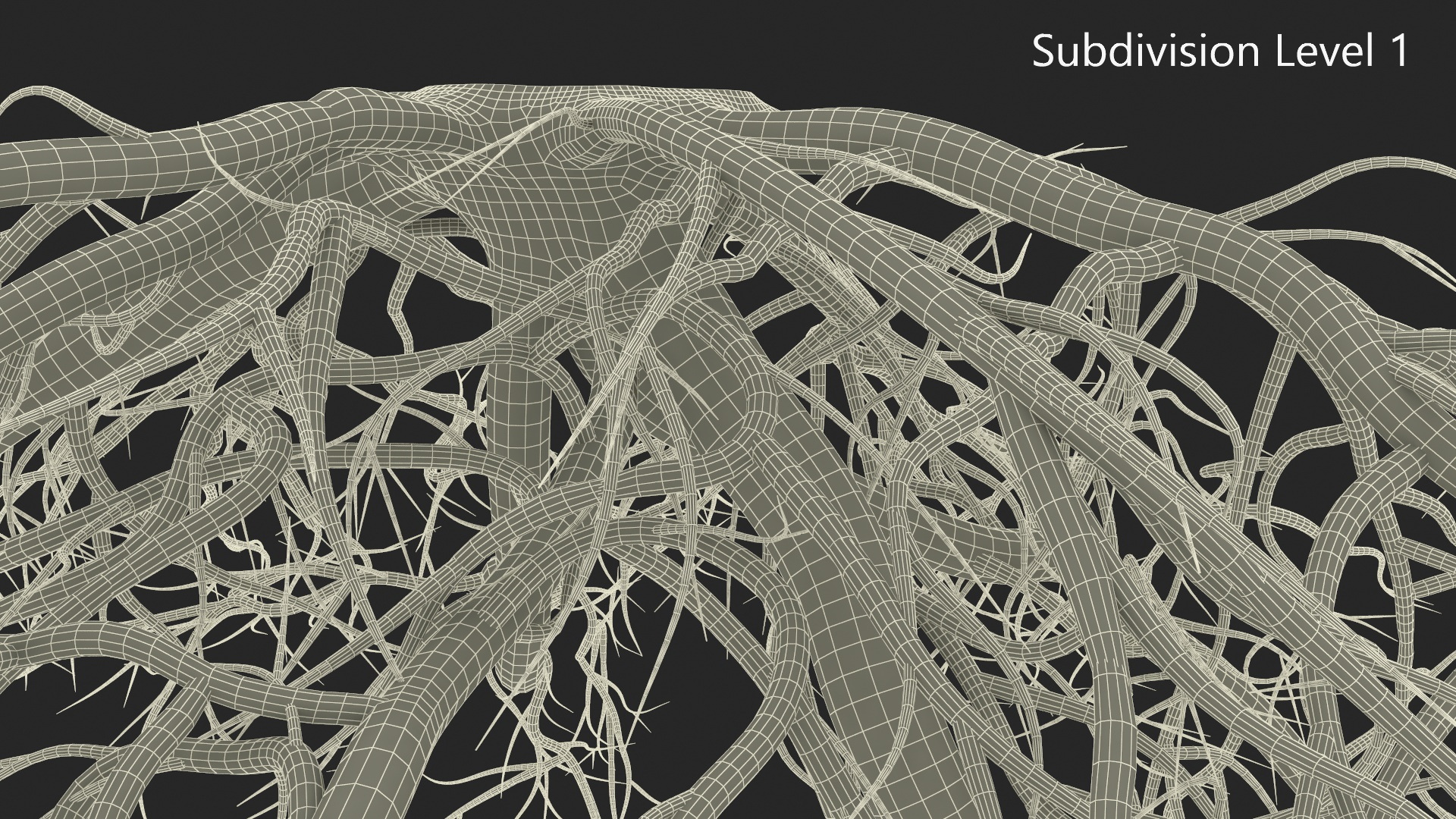 Roots of Oak 3D