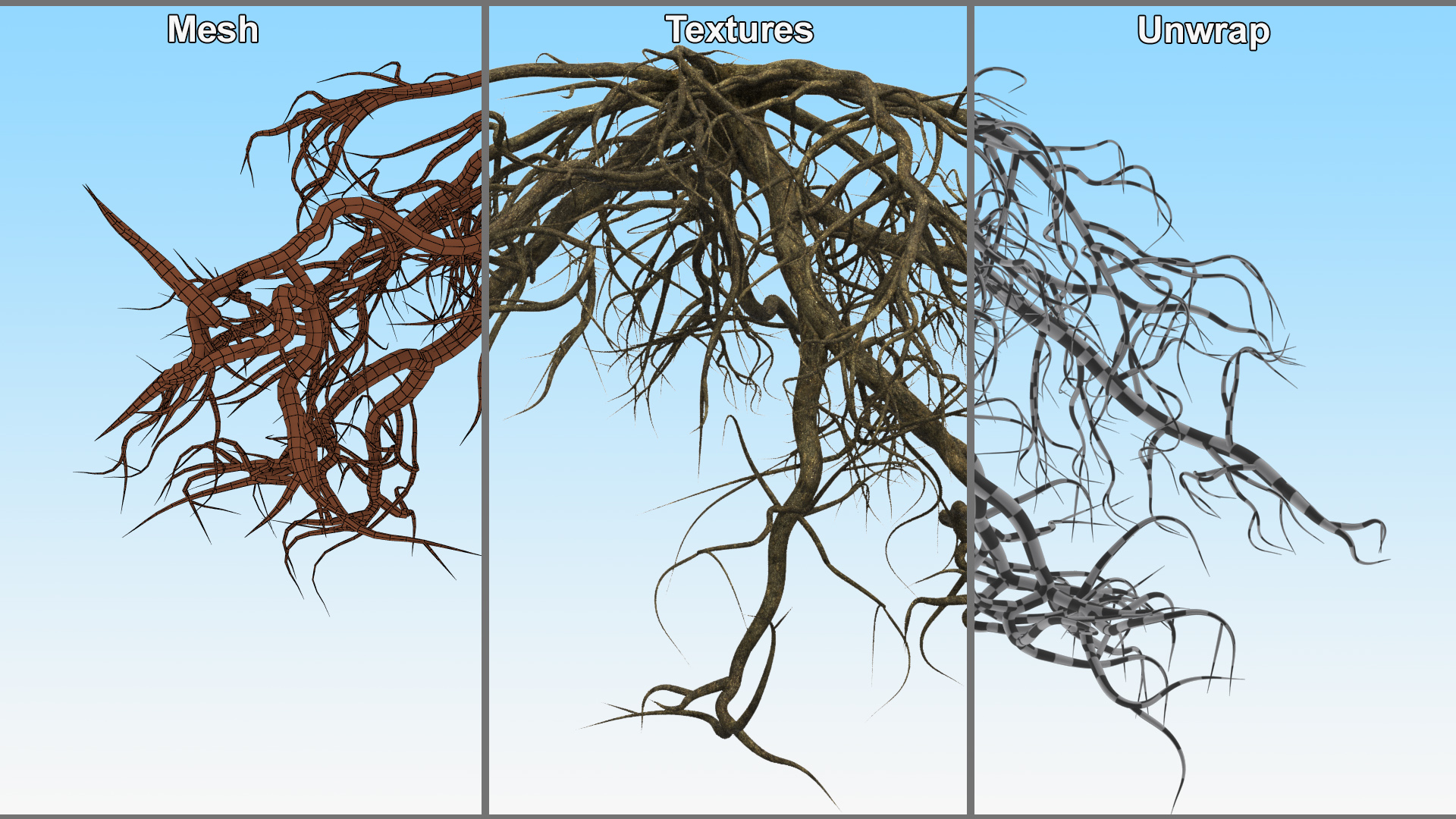 Roots of Oak 3D