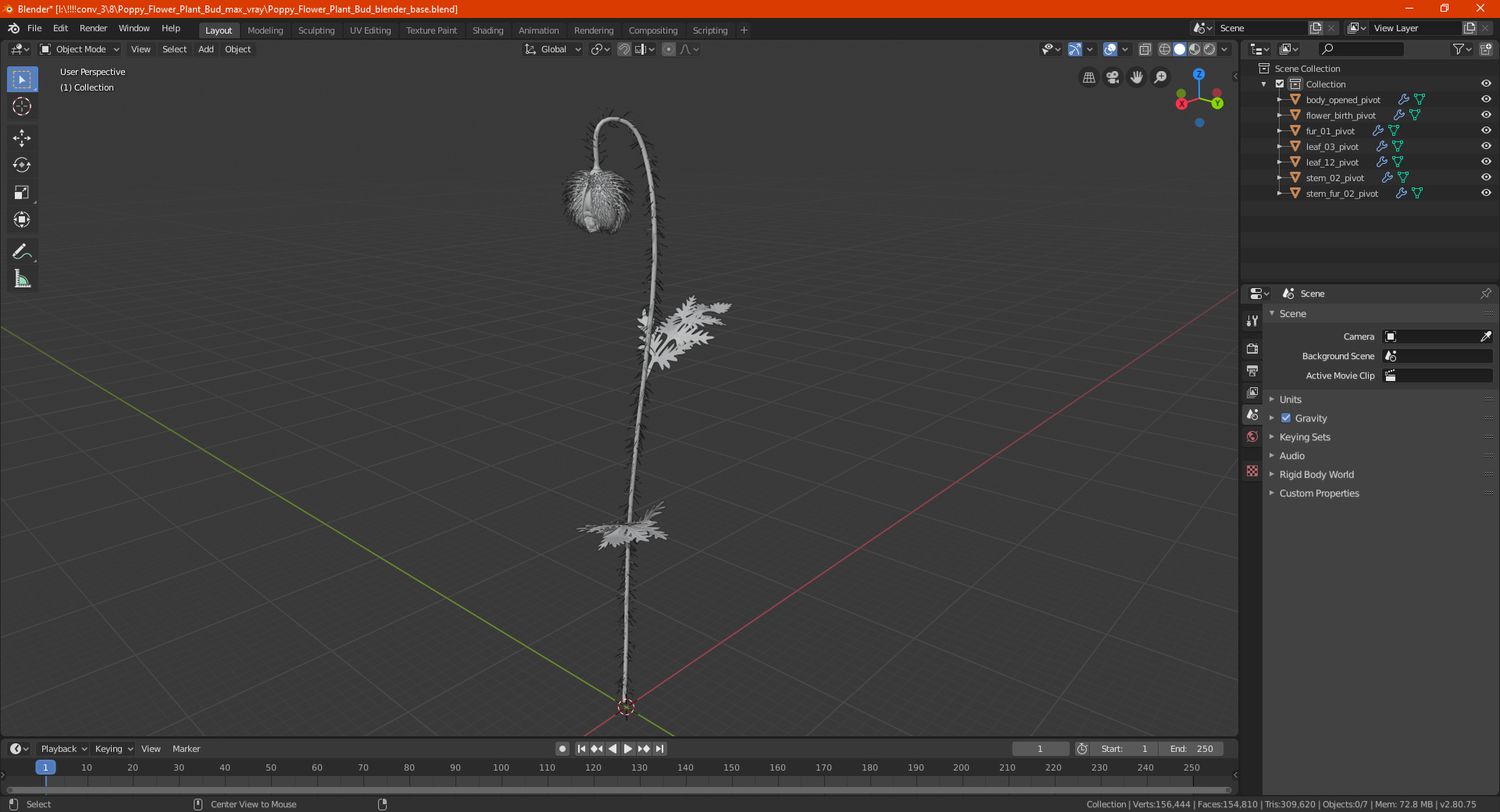 Poppy Flower Plant Bud 3D