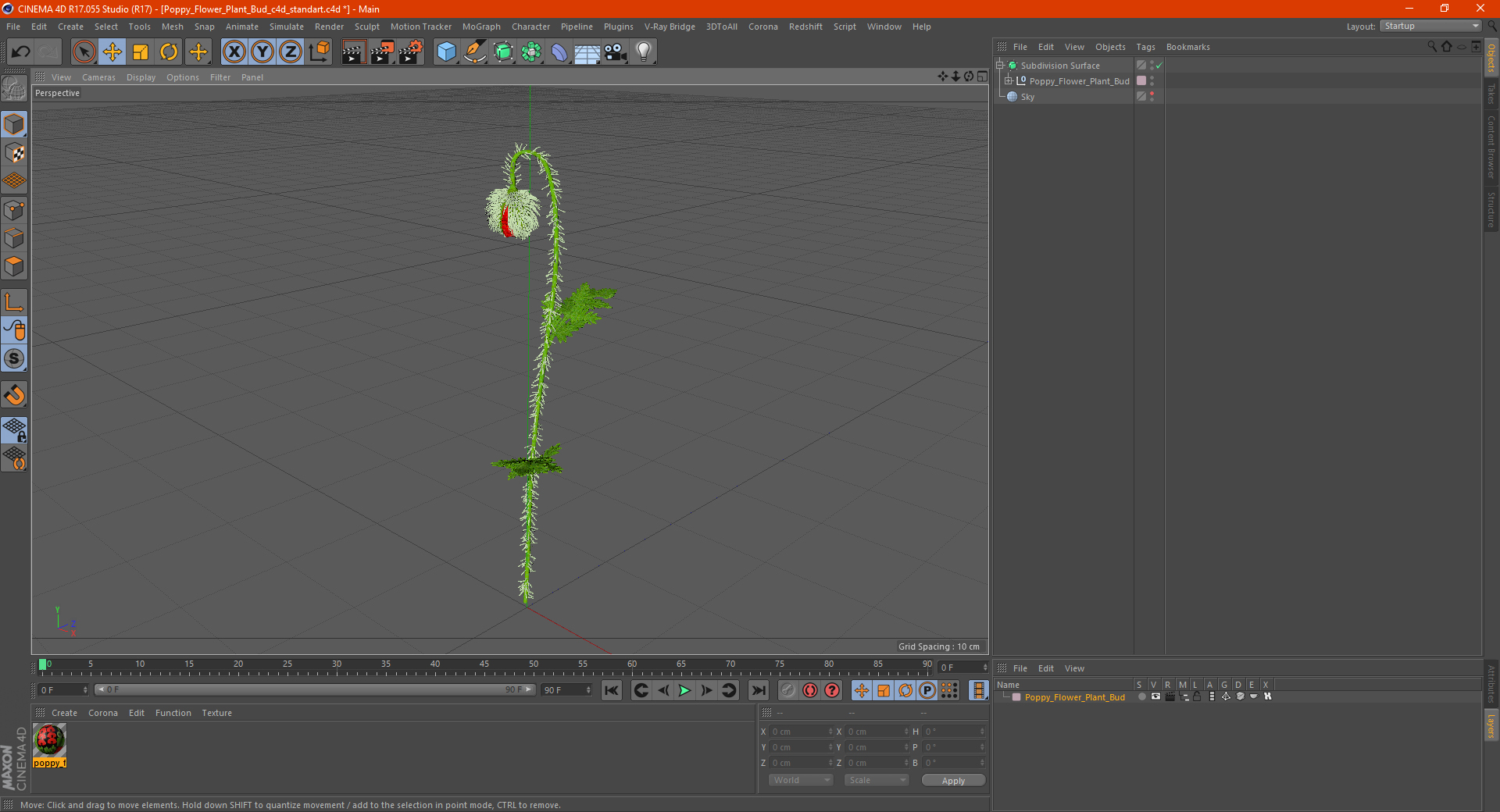 Poppy Flower Plant Bud 3D