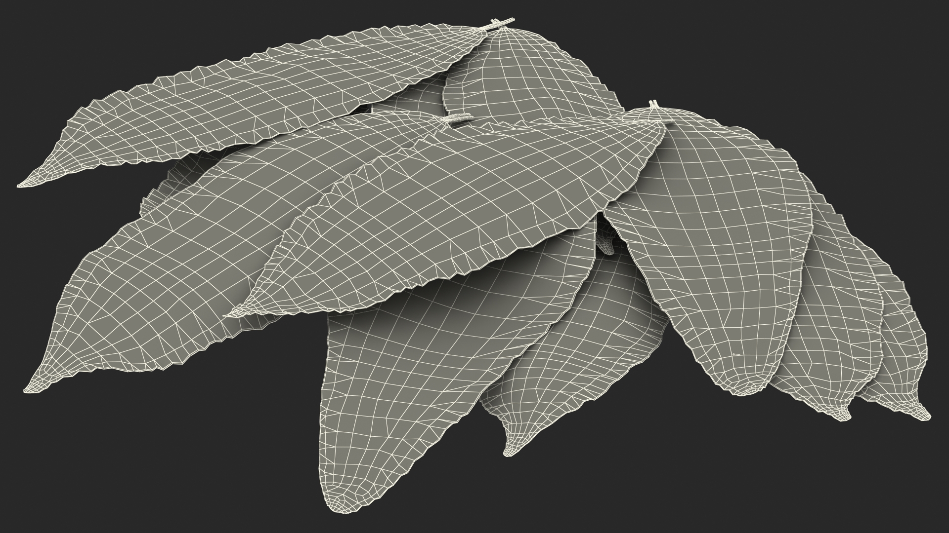 3D Laurel Leaves model
