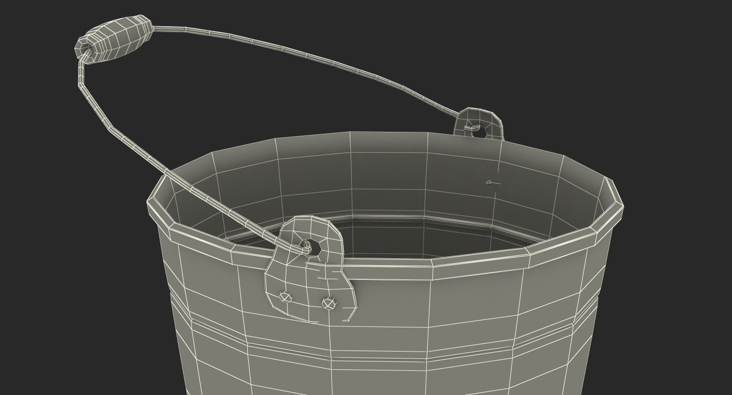 Rusty Bucket 3D