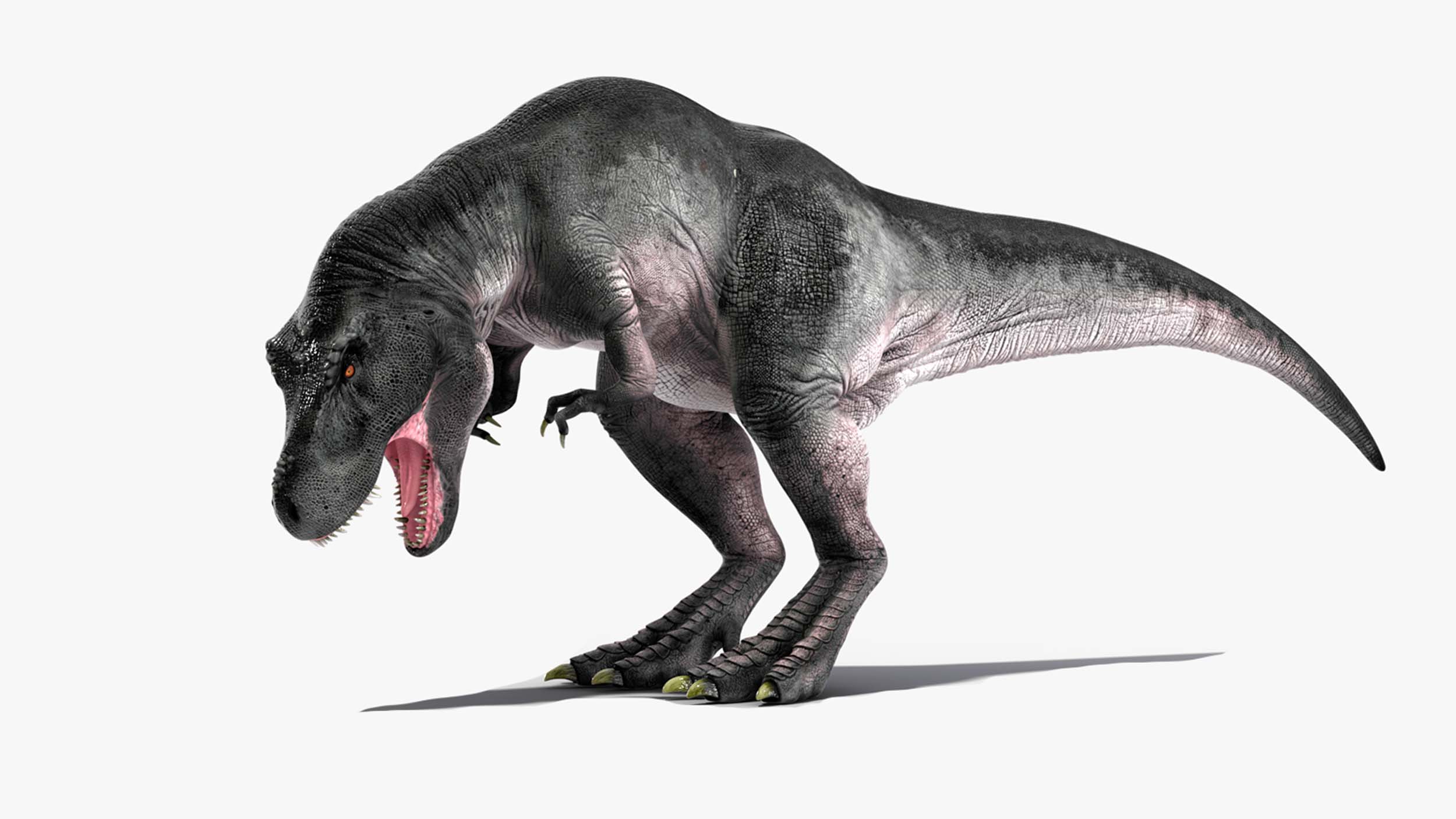 T Rex Eating Animated Rigged for Maya 3D