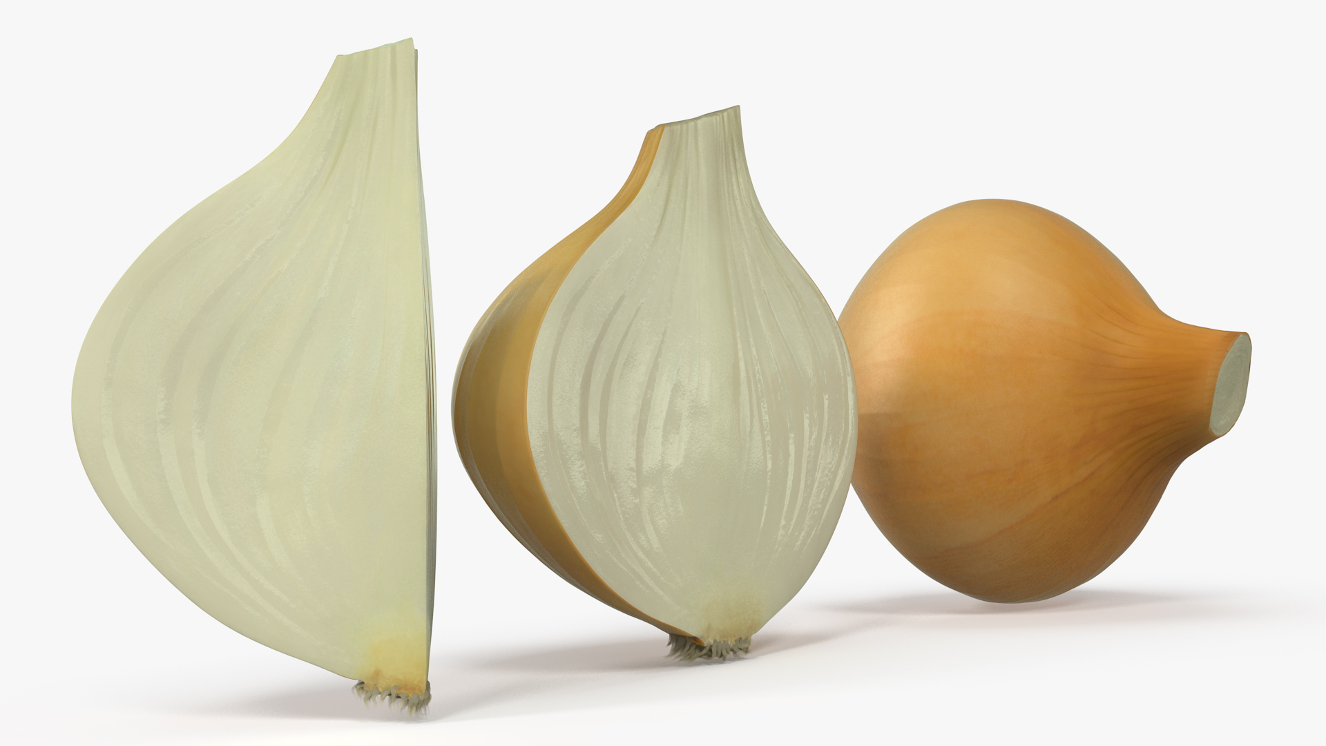 Yellow Onions Fur 3D