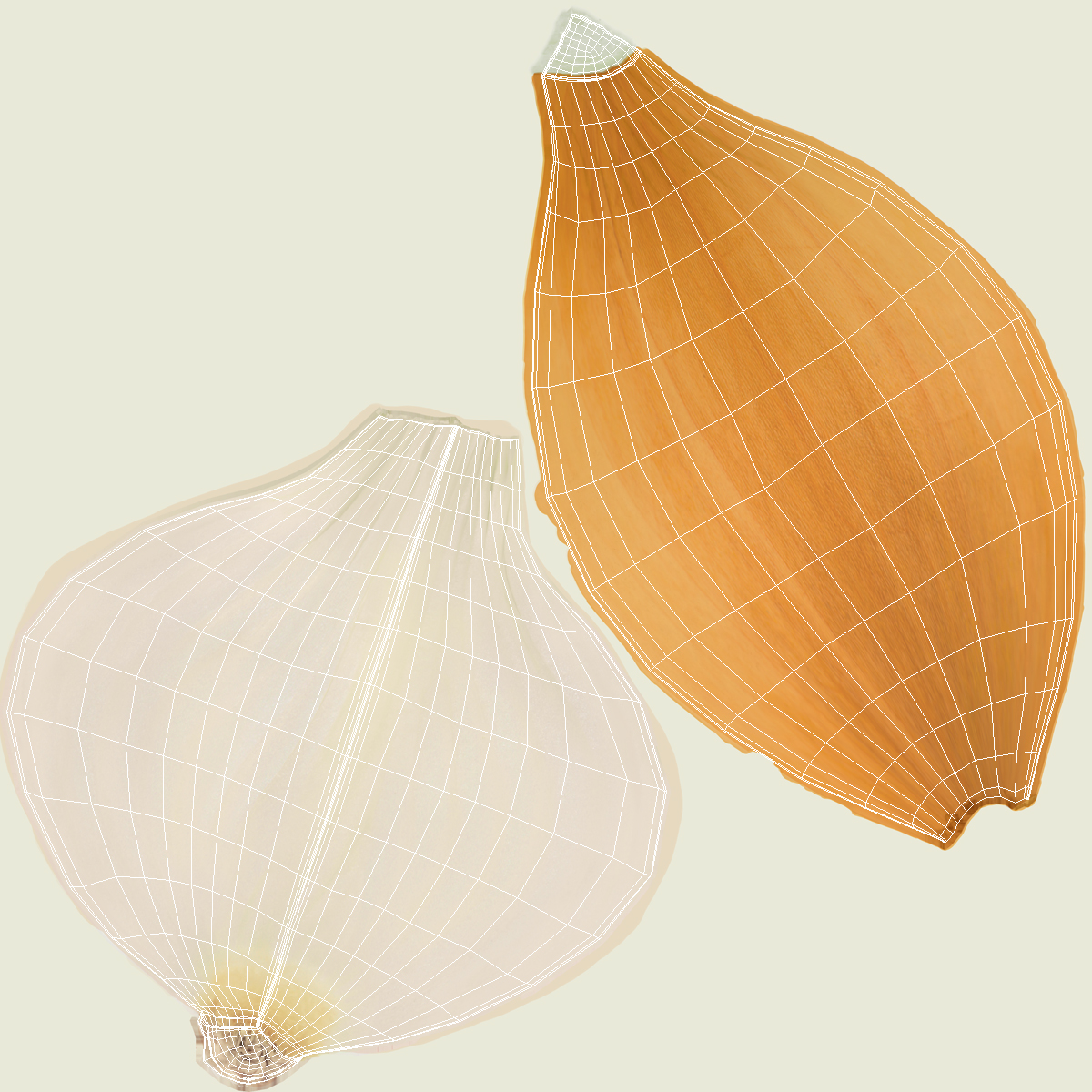 Yellow Onions Fur 3D
