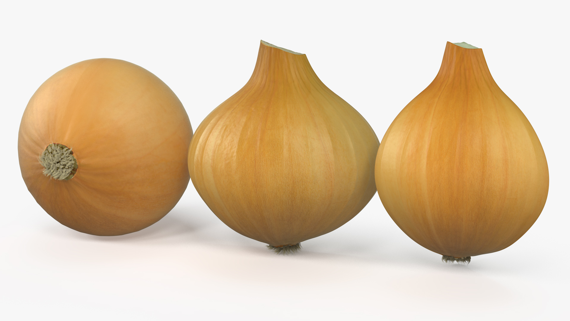 Yellow Onions Fur 3D