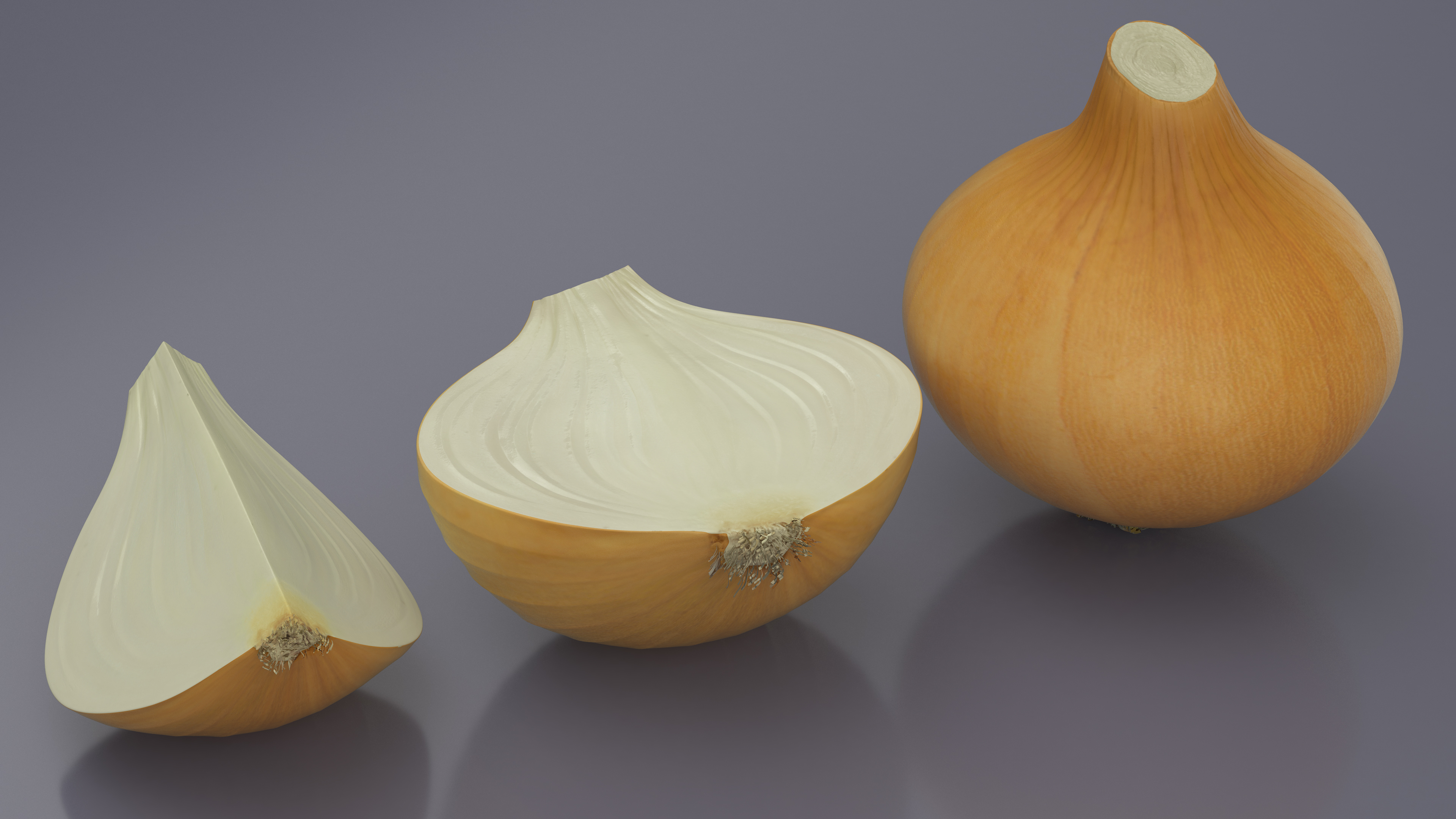 Yellow Onions Fur 3D