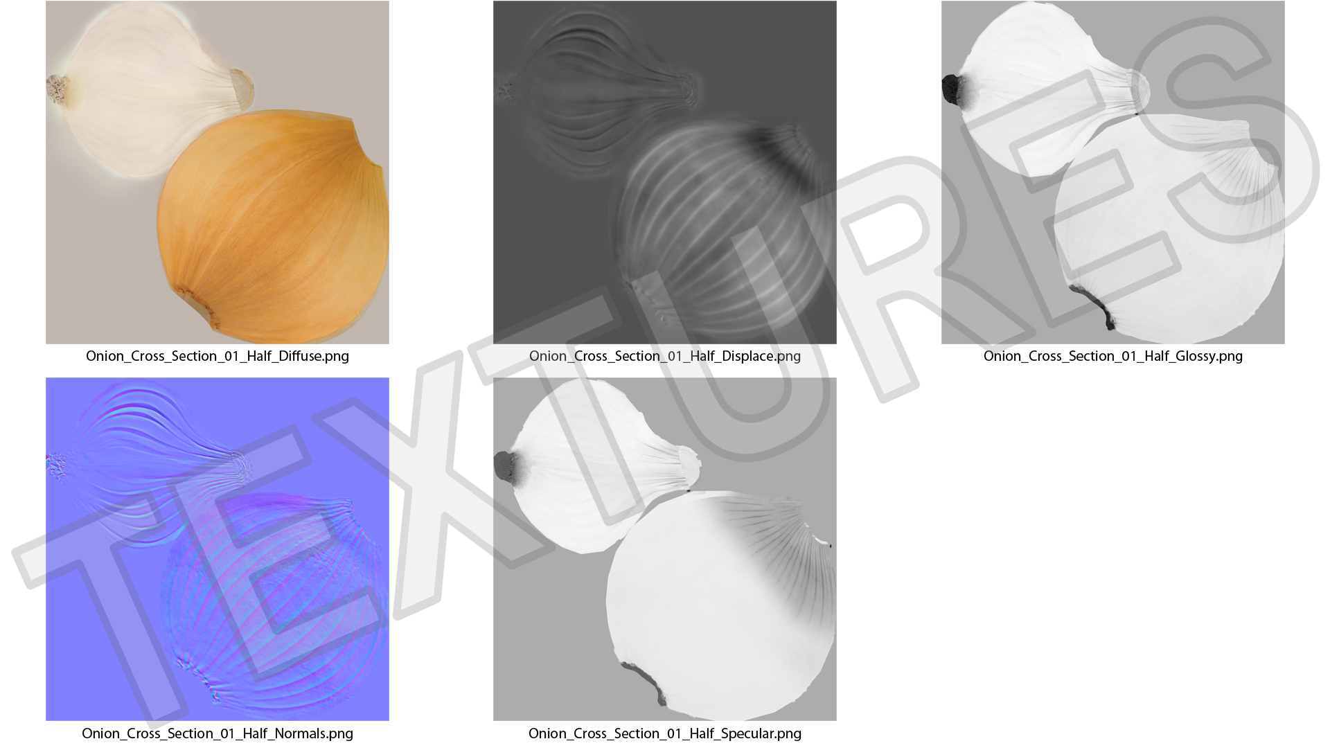 Yellow Onions Fur 3D