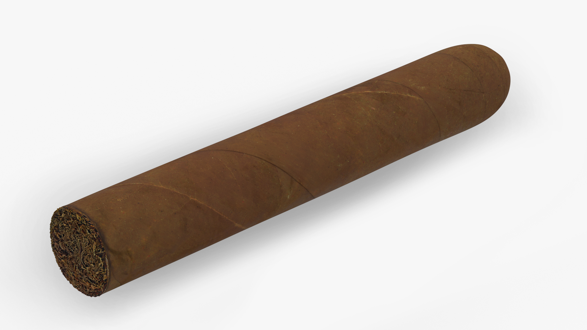 Cuban Cigar Short 3D