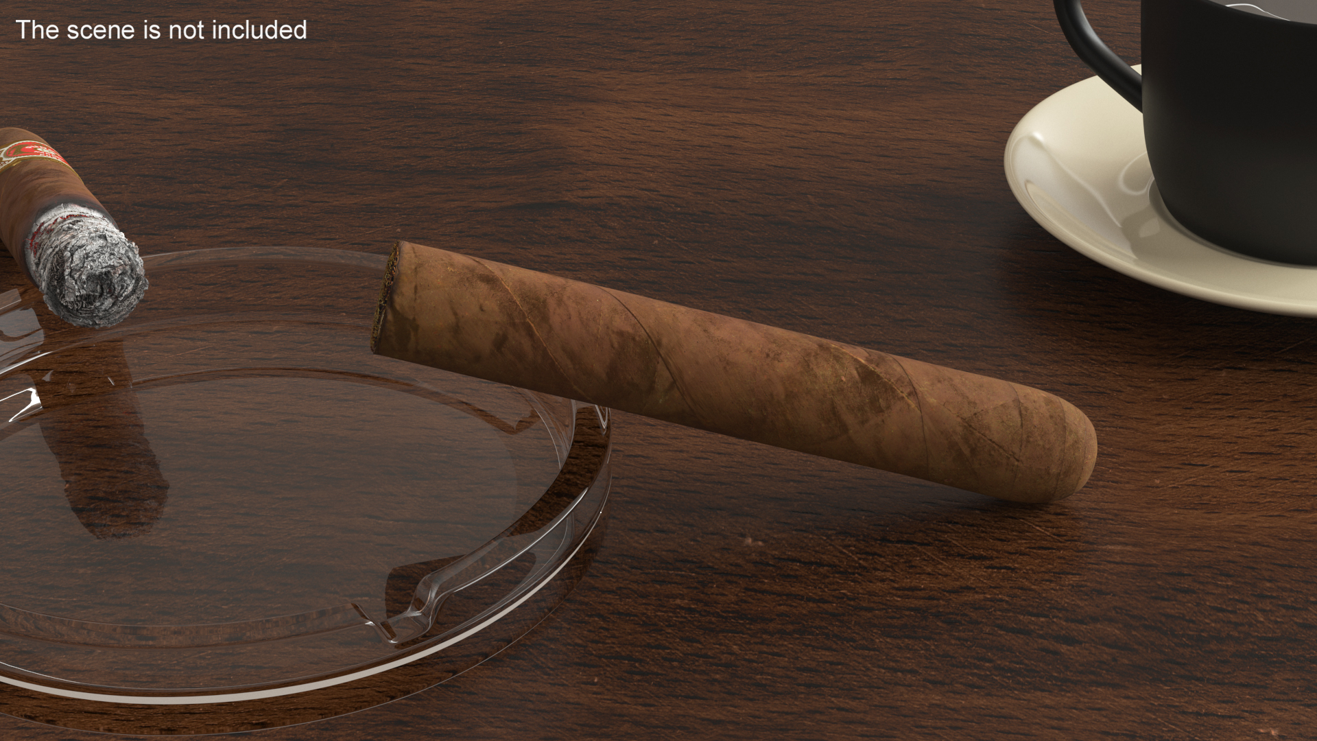 Cuban Cigar Short 3D
