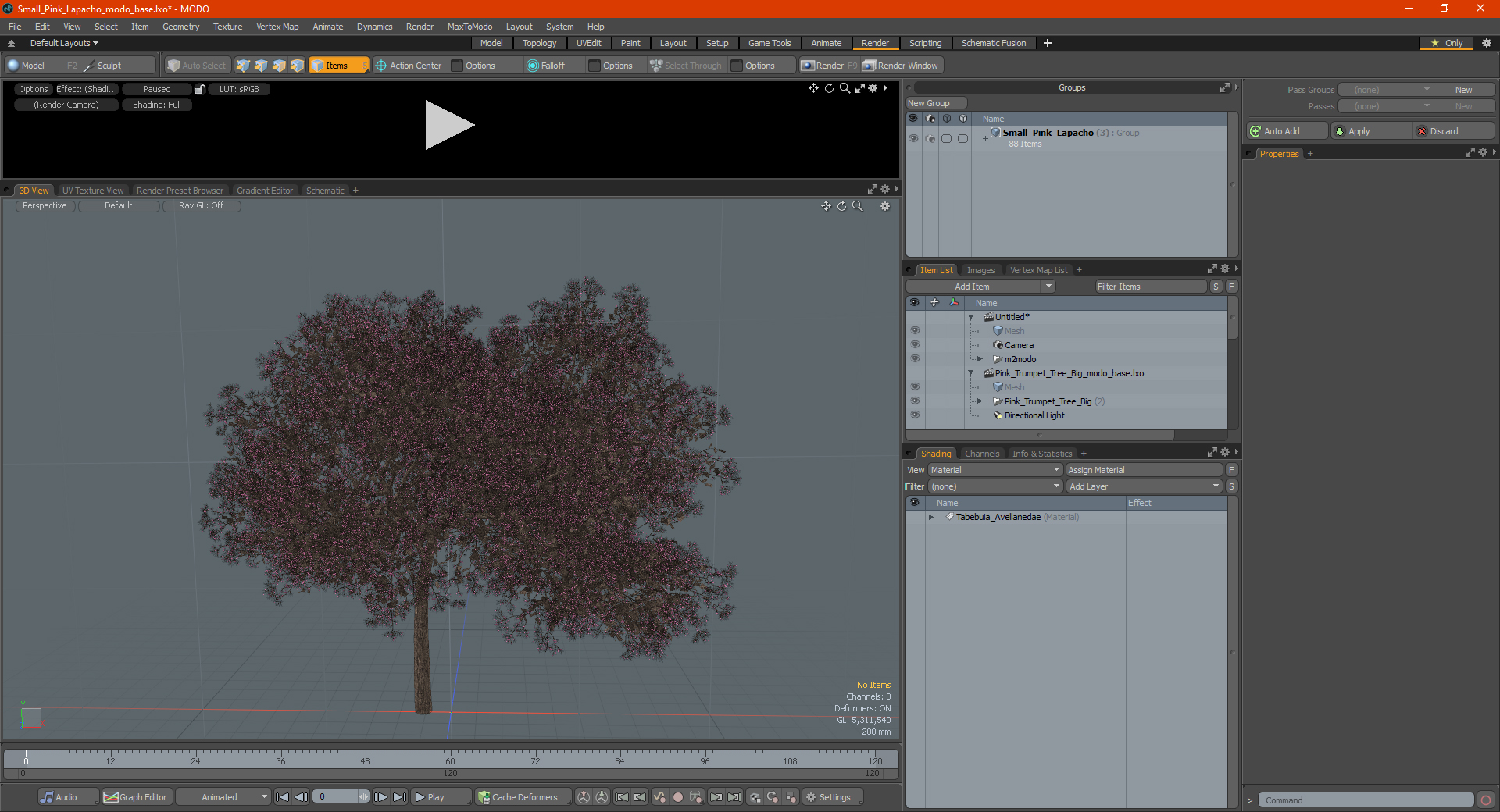 3D Small Pink Lapacho Tree model