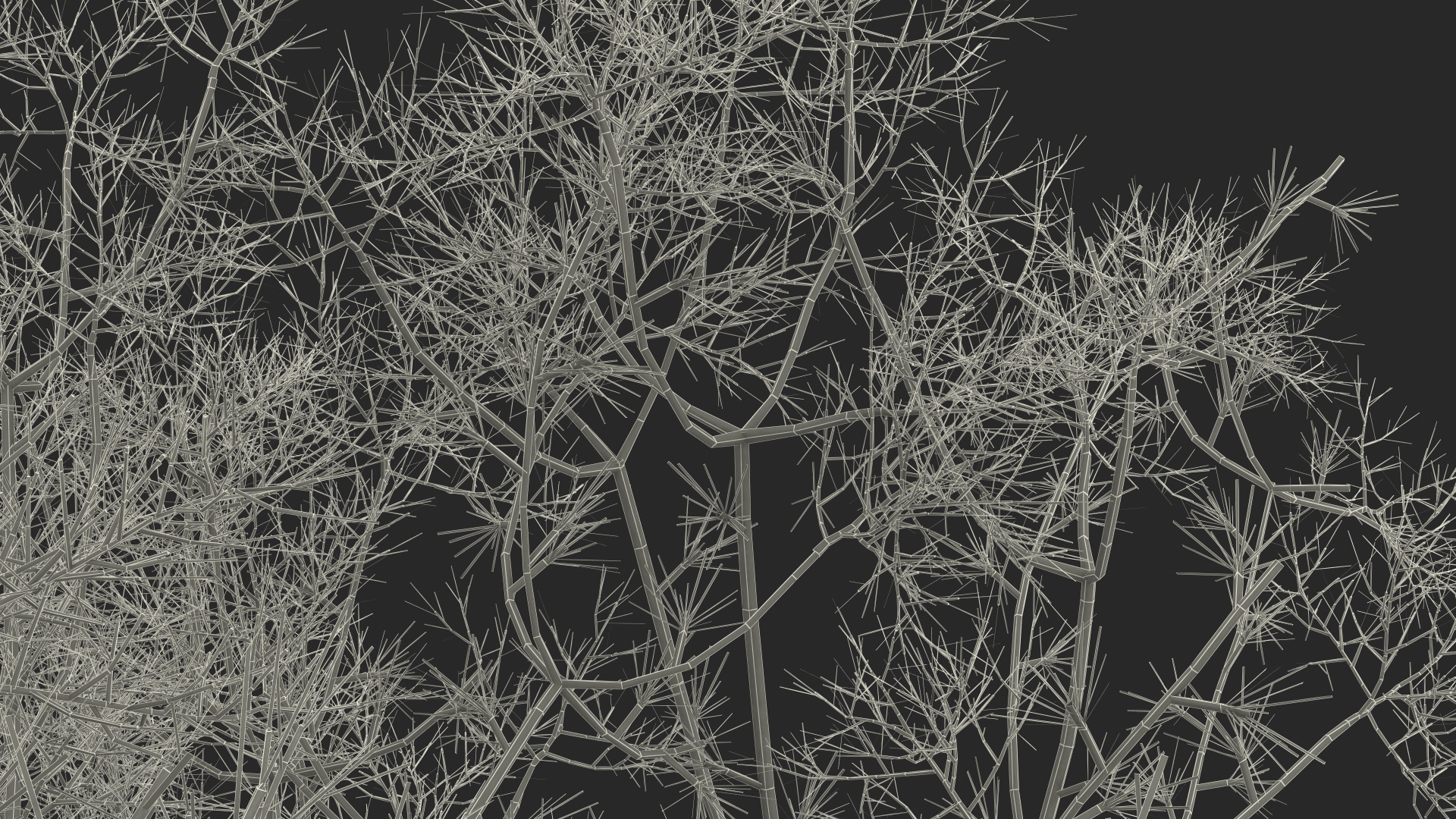 3D Small Pink Lapacho Tree model