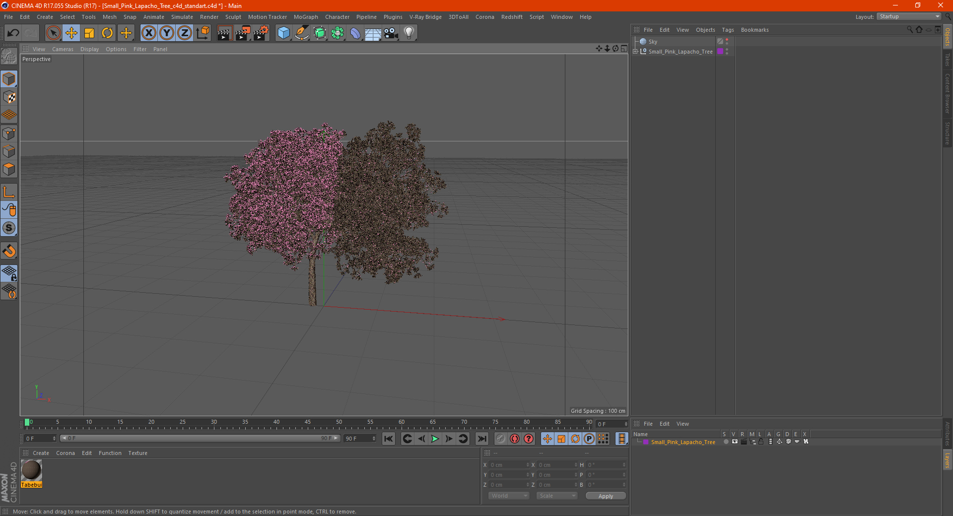 3D Small Pink Lapacho Tree model