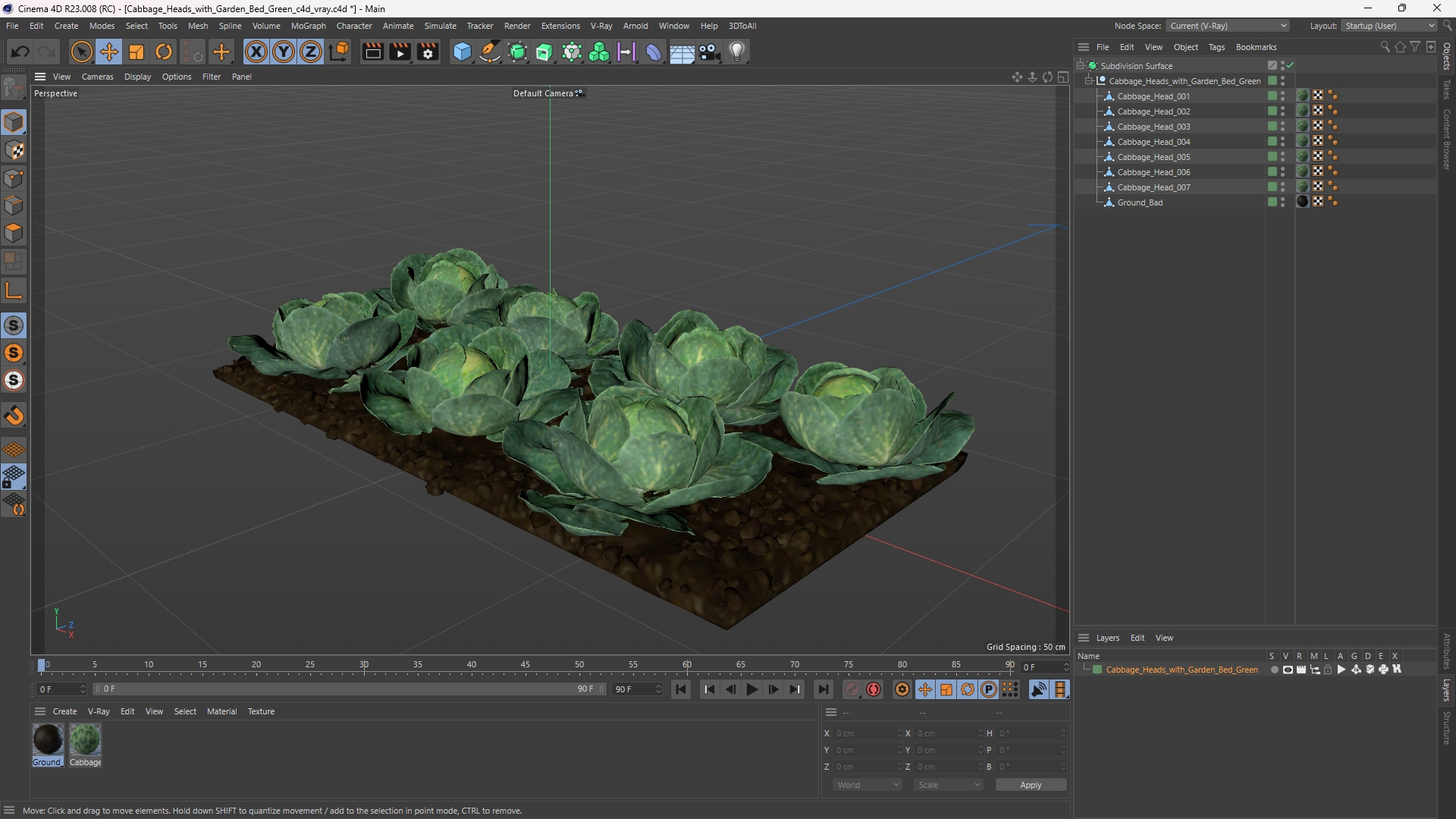 Cabbage Heads with Garden Bed Green, view 11
