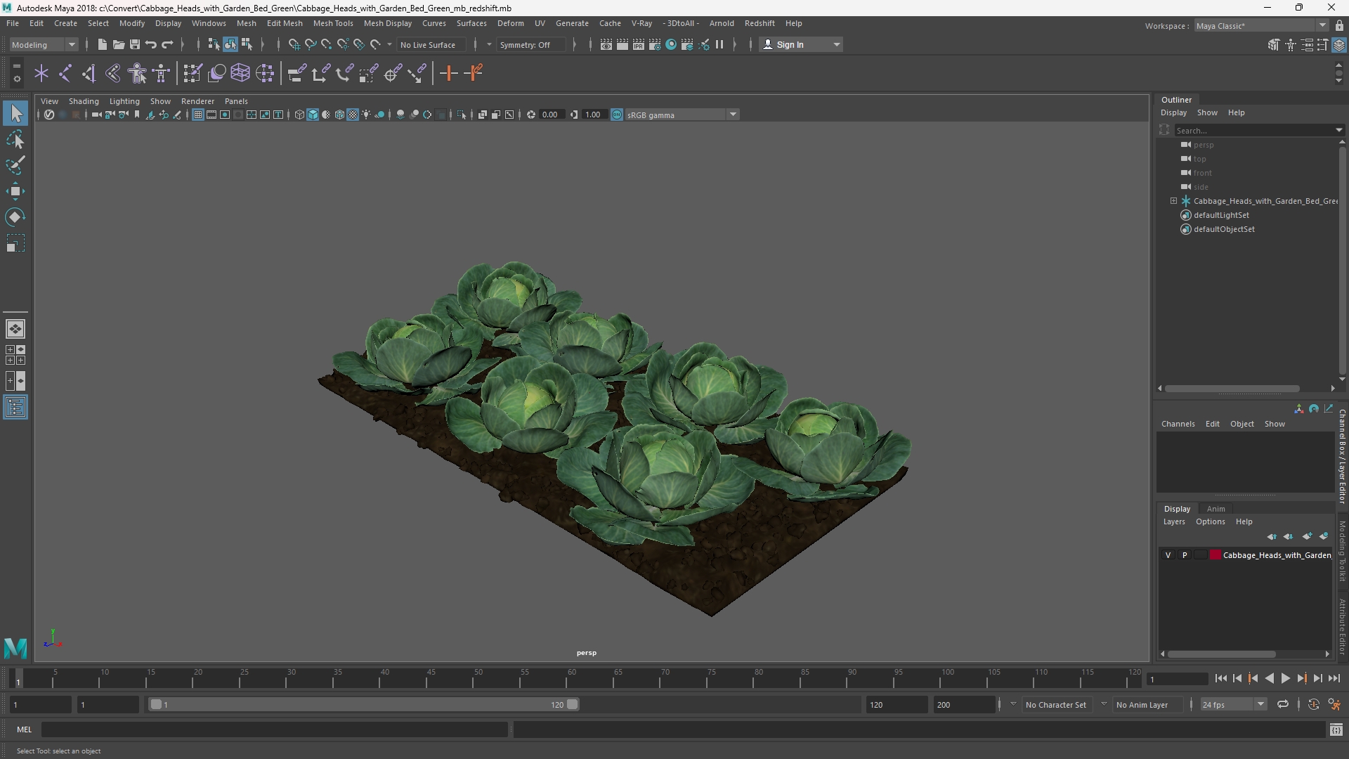 Cabbage Heads with Garden Bed Green, view 10