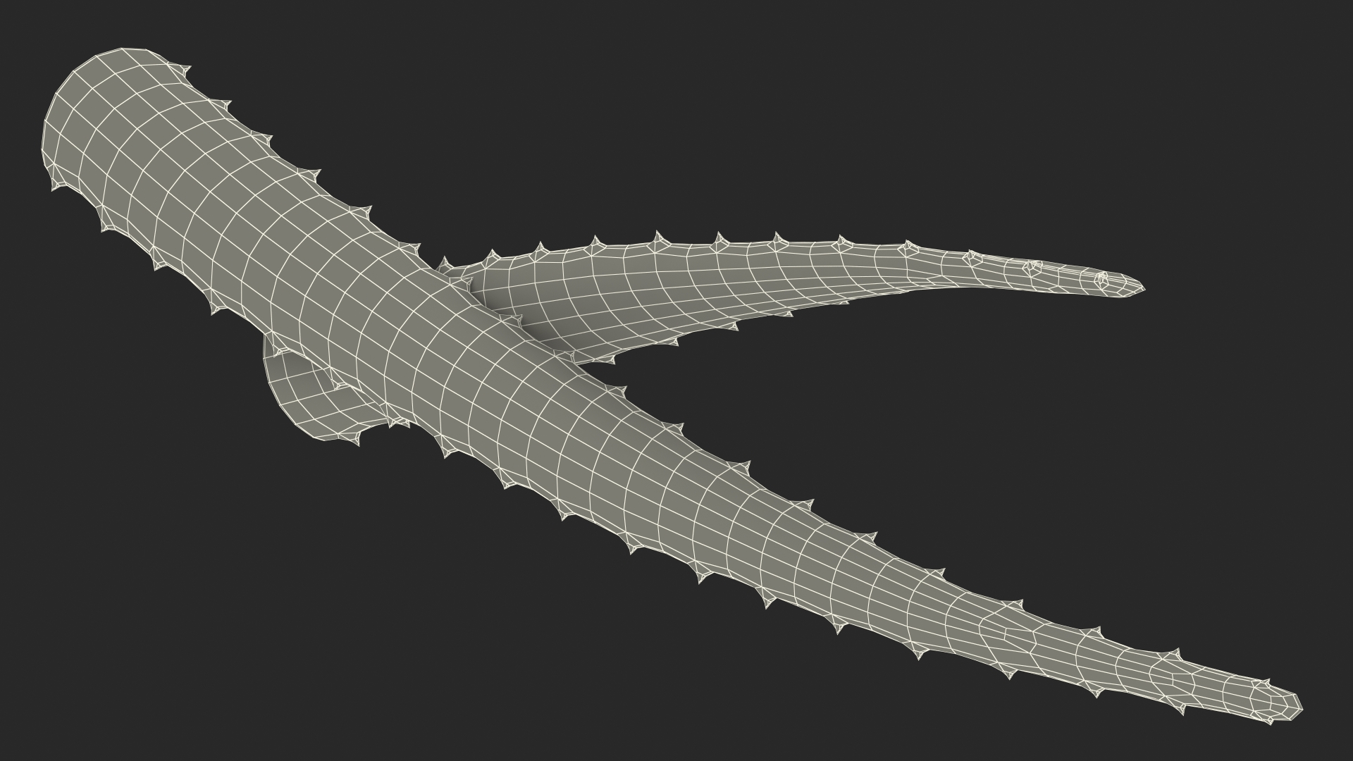 3D Aloe Leaves